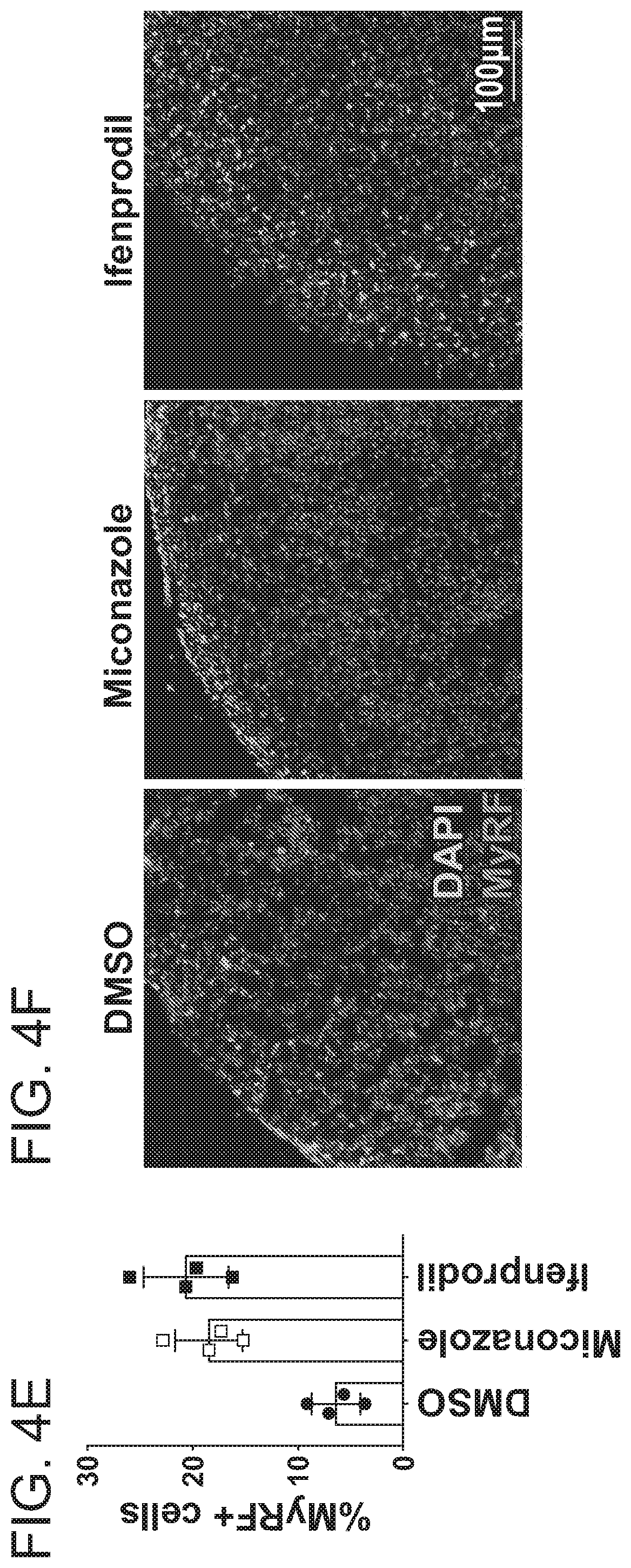 Patent US12102644 Figure 18 – Compounds and methods of promoting myelination