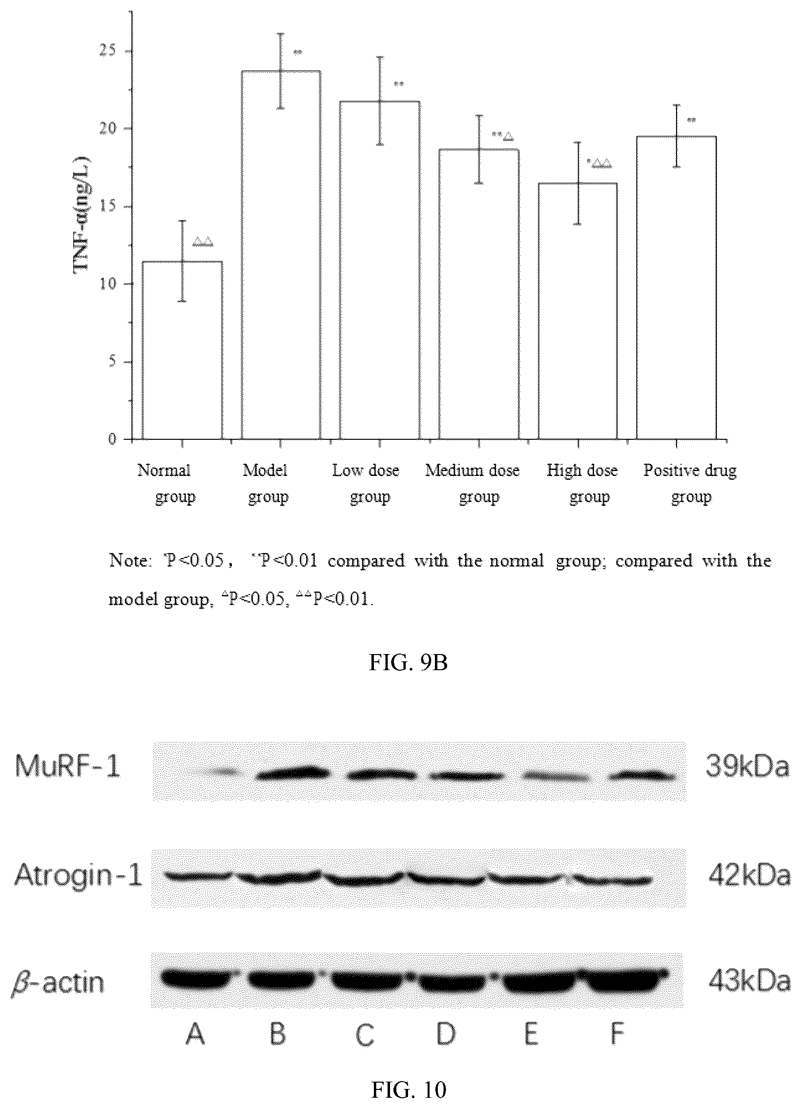 Patent US12102647 Figure 6 – Citrine pleurotus polysaccharide and applications thereof