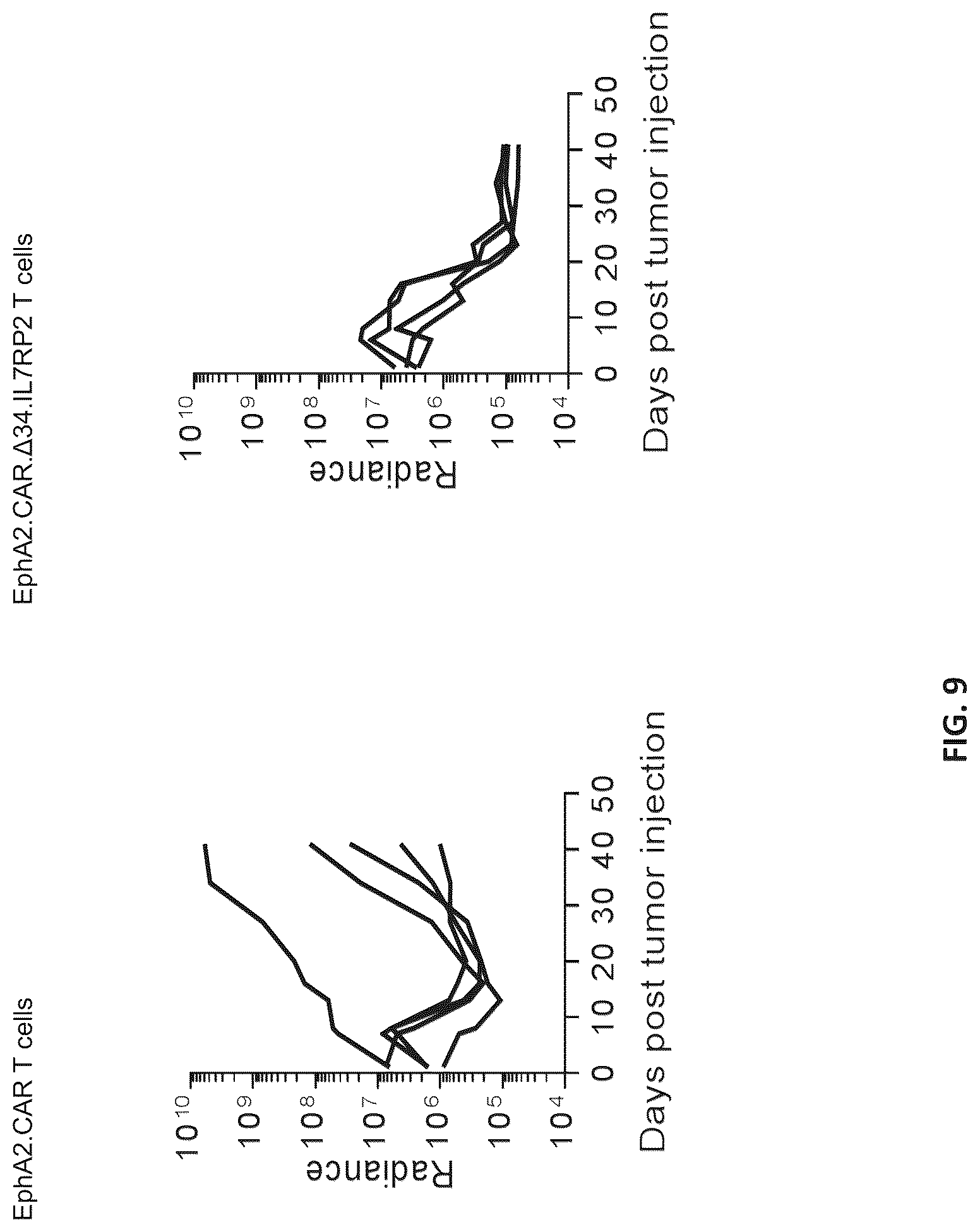 Patent US12102652 Figure 11 – Constitutively active cytokine receptors for cell therapy