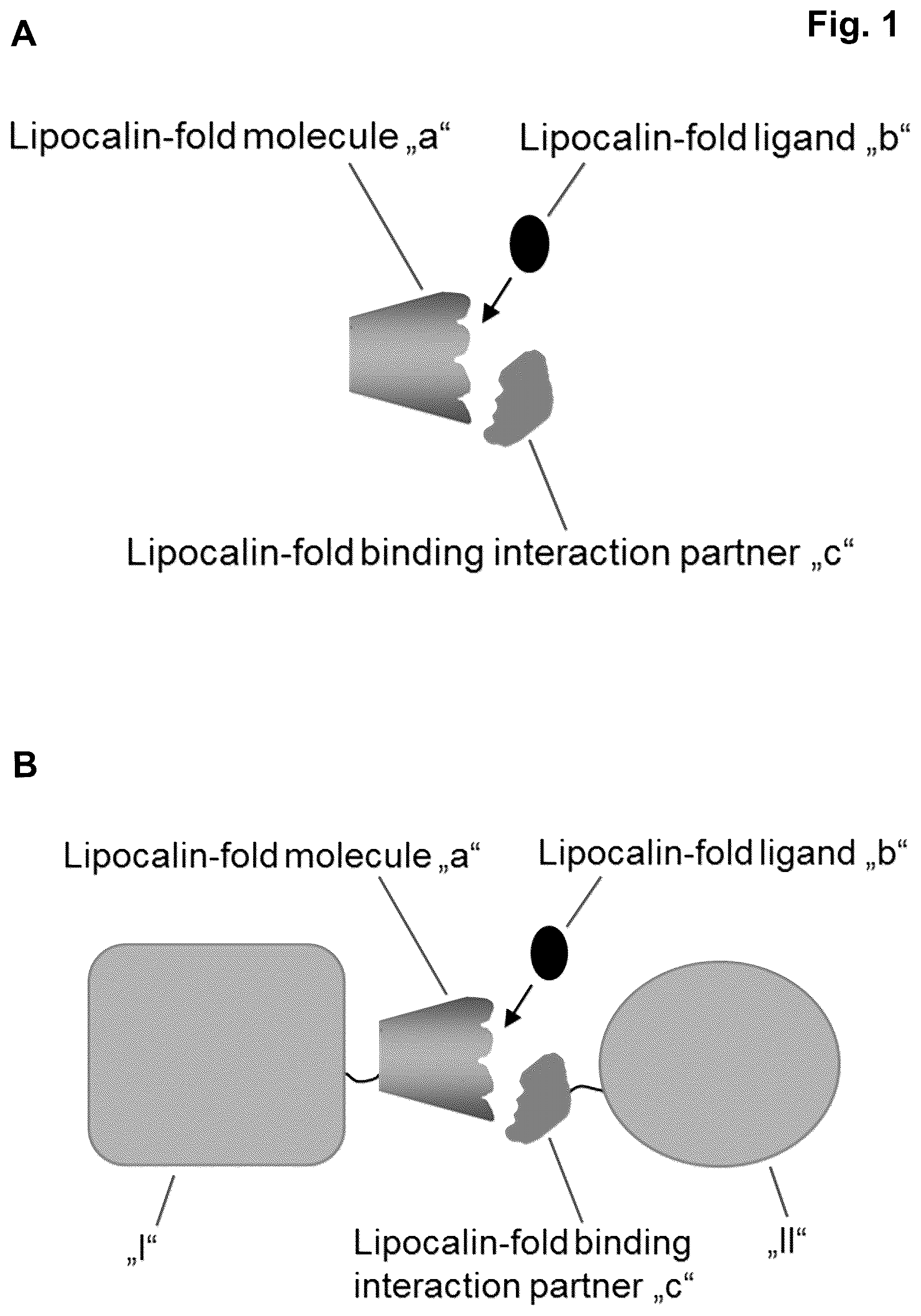 Patent US12102653 Figure 1 – Ligand regulated protein-protein interaction system