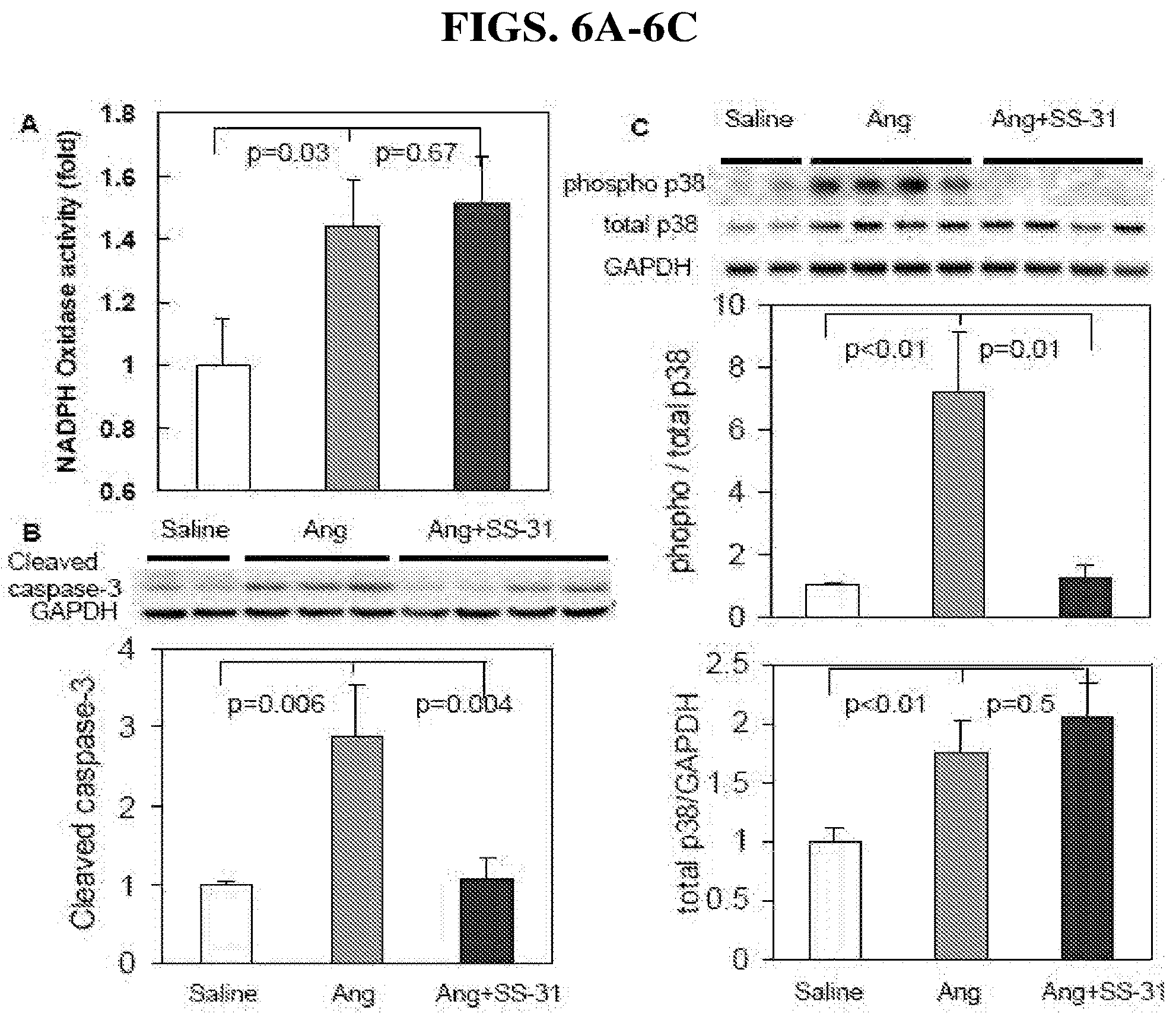 Patent US12102659 Figure 6 – Methods for the prevention or treatment of heart failure