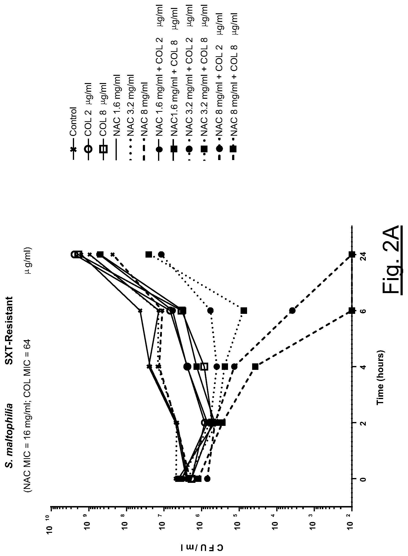 Patent US12102660 Figure 2 – Association of N-acetylcysteine and colistin for use in bacterial infections