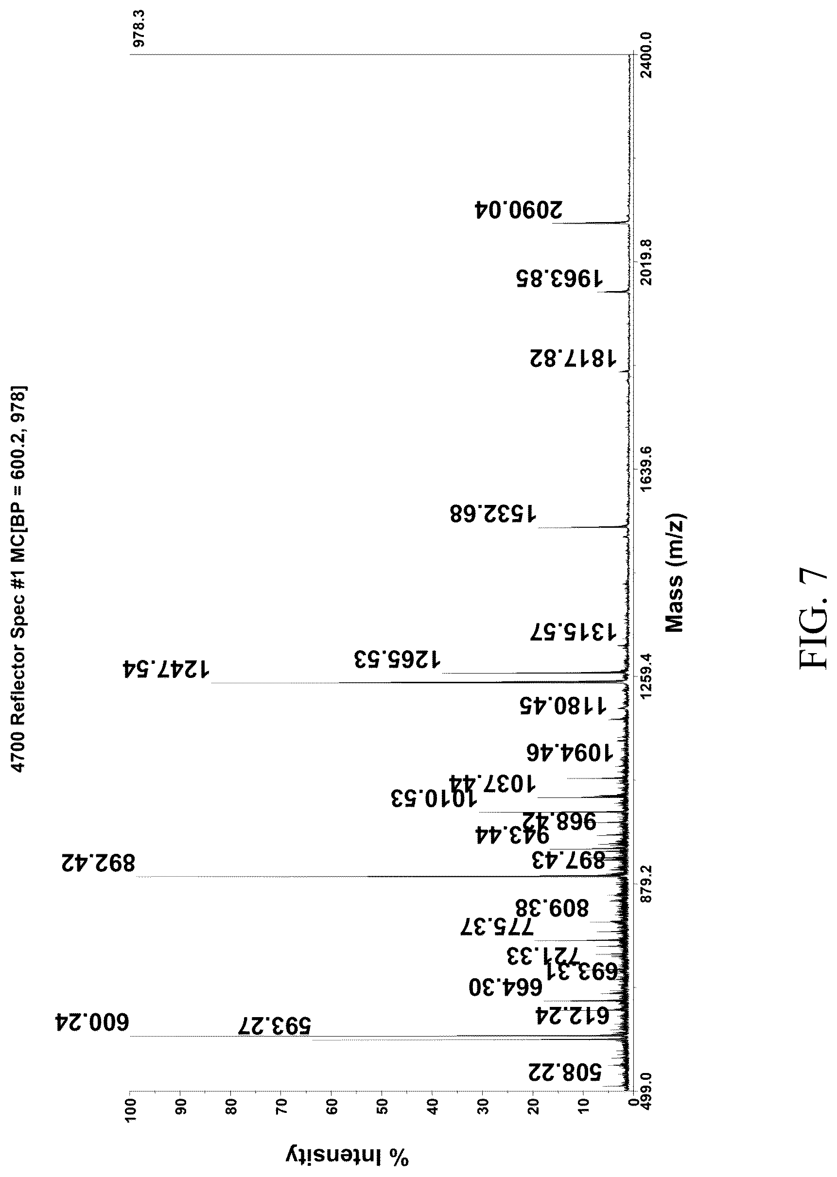 Patent US12102661 Figure 7 – ACE inhibitory peptide composition derived from ginkgo protein and preparation method and application thereof