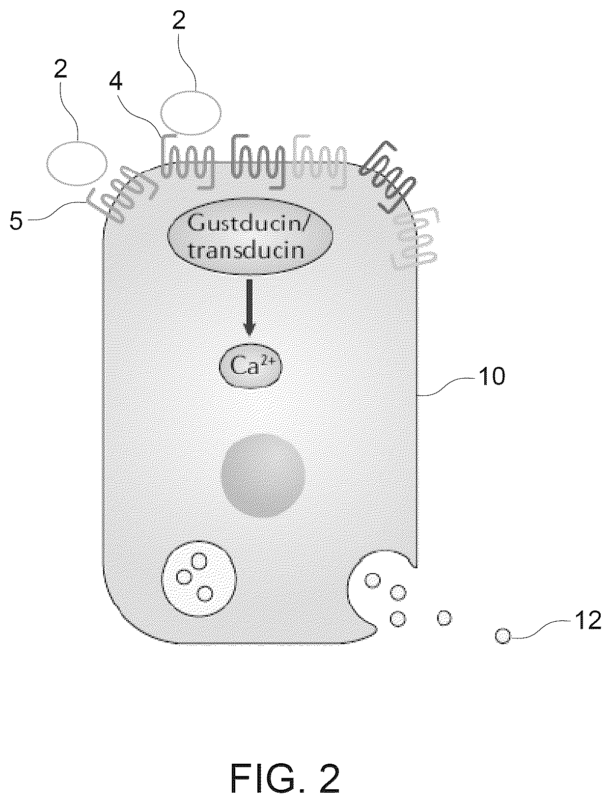 Patent US12102664 Figure 2 – Compositions and methods for treating endocrine diseases and disorders