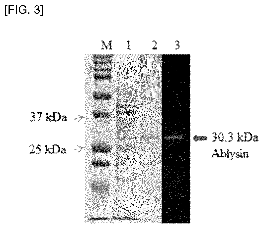 Patent US12102666 Figure 2 – Use of recombinant antibacterial protein Ablysin for effectively killing multidrug-resistant pathogenic bacteria