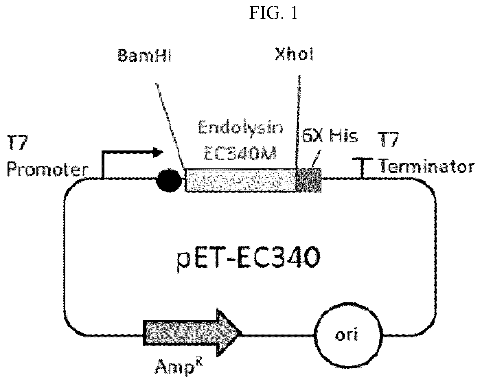 Patent US12102667 — Polypeptides and antibiotics against gram-negative bacterium comprising the same — Figure 1