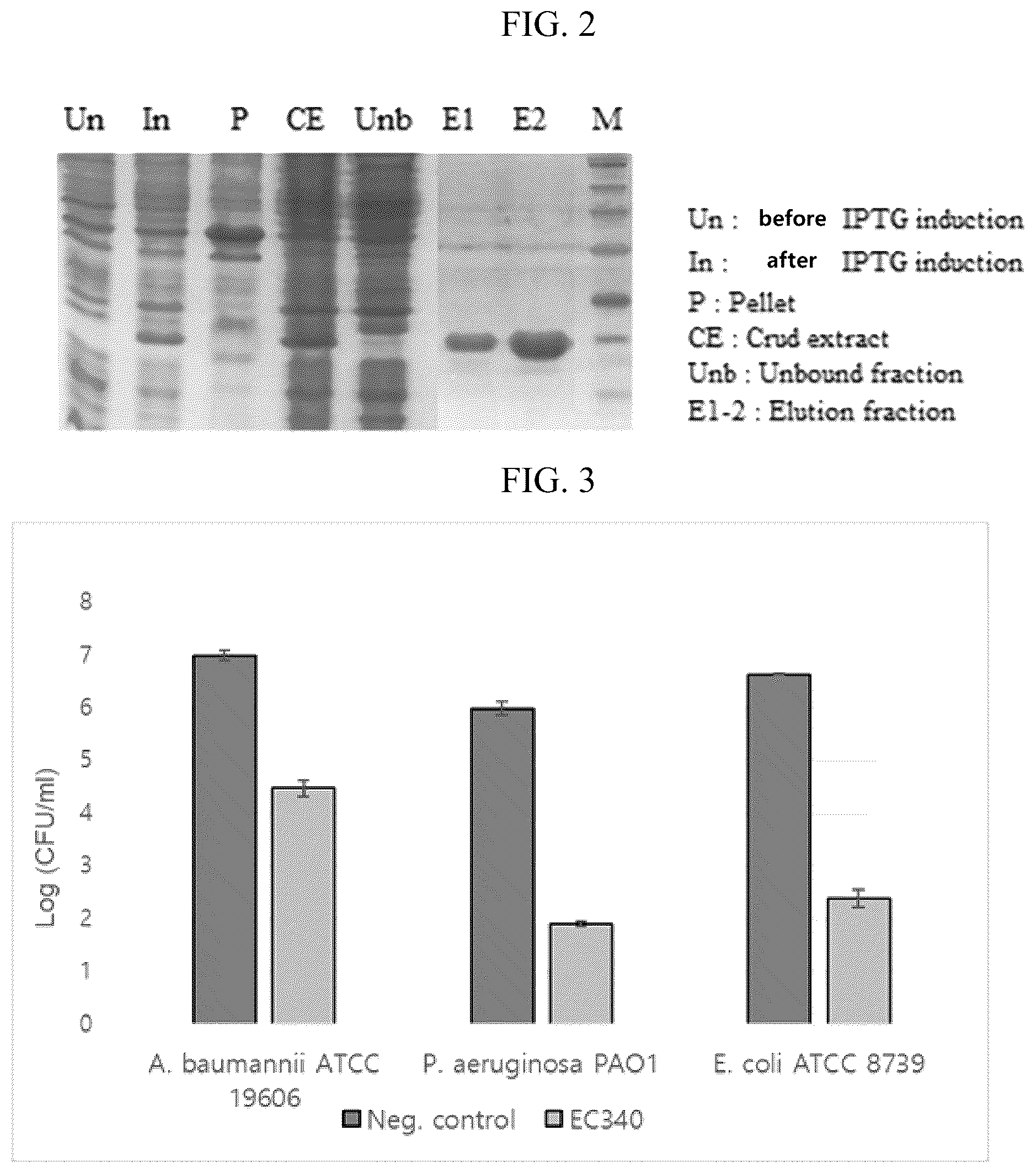 Patent US12102667 Figure 2 – Polypeptides and antibiotics against gram-negative bacterium comprising the same