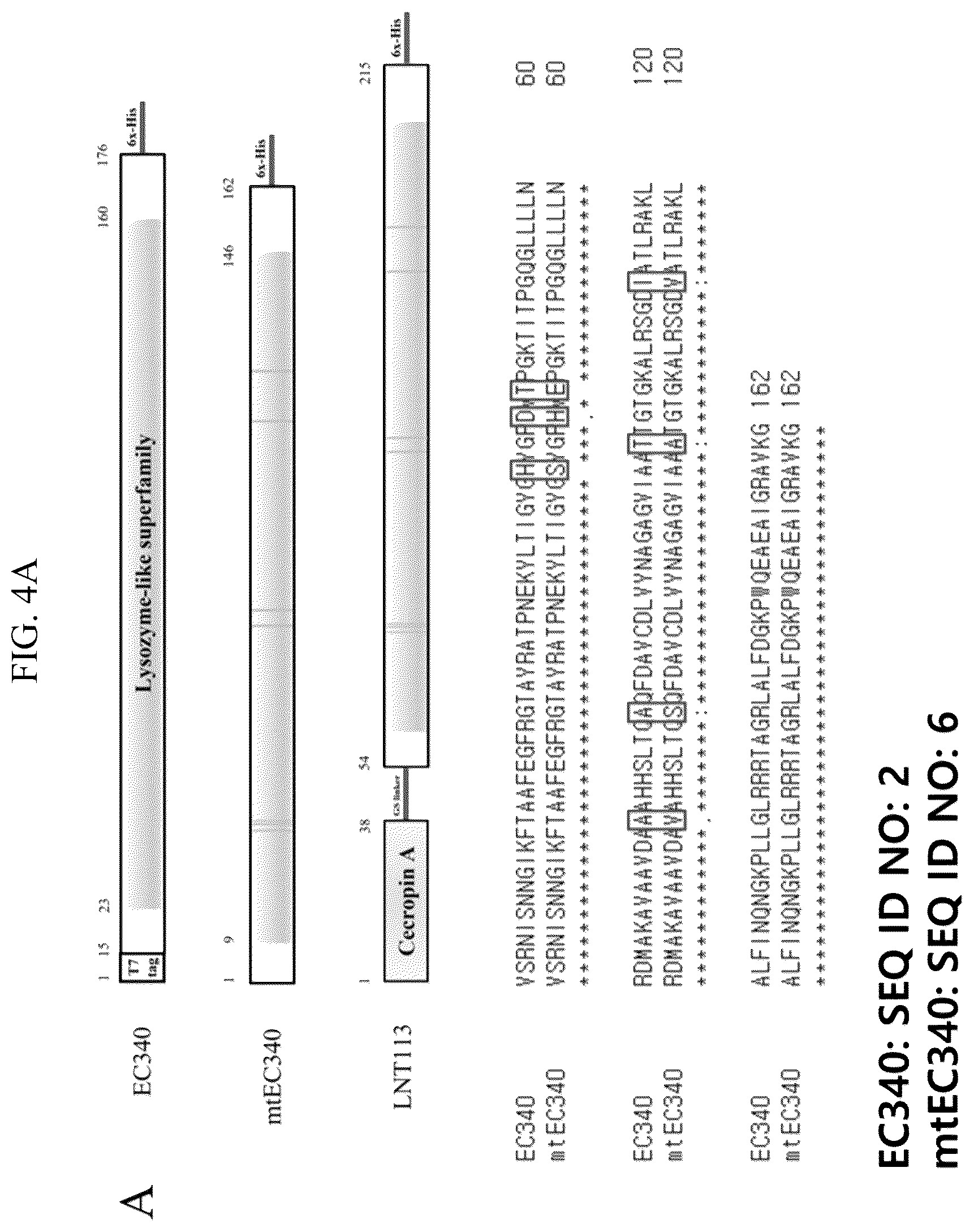 Patent US12102667 Figure 3 – Polypeptides and antibiotics against gram-negative bacterium comprising the same