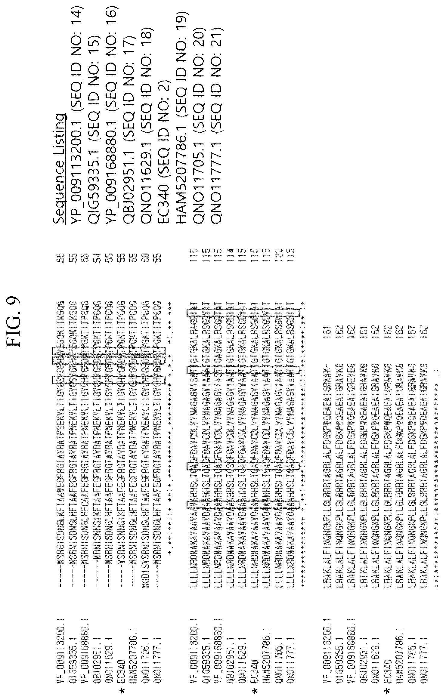 Patent US12102667 Figure 17 – Polypeptides and antibiotics against gram-negative bacterium comprising the same