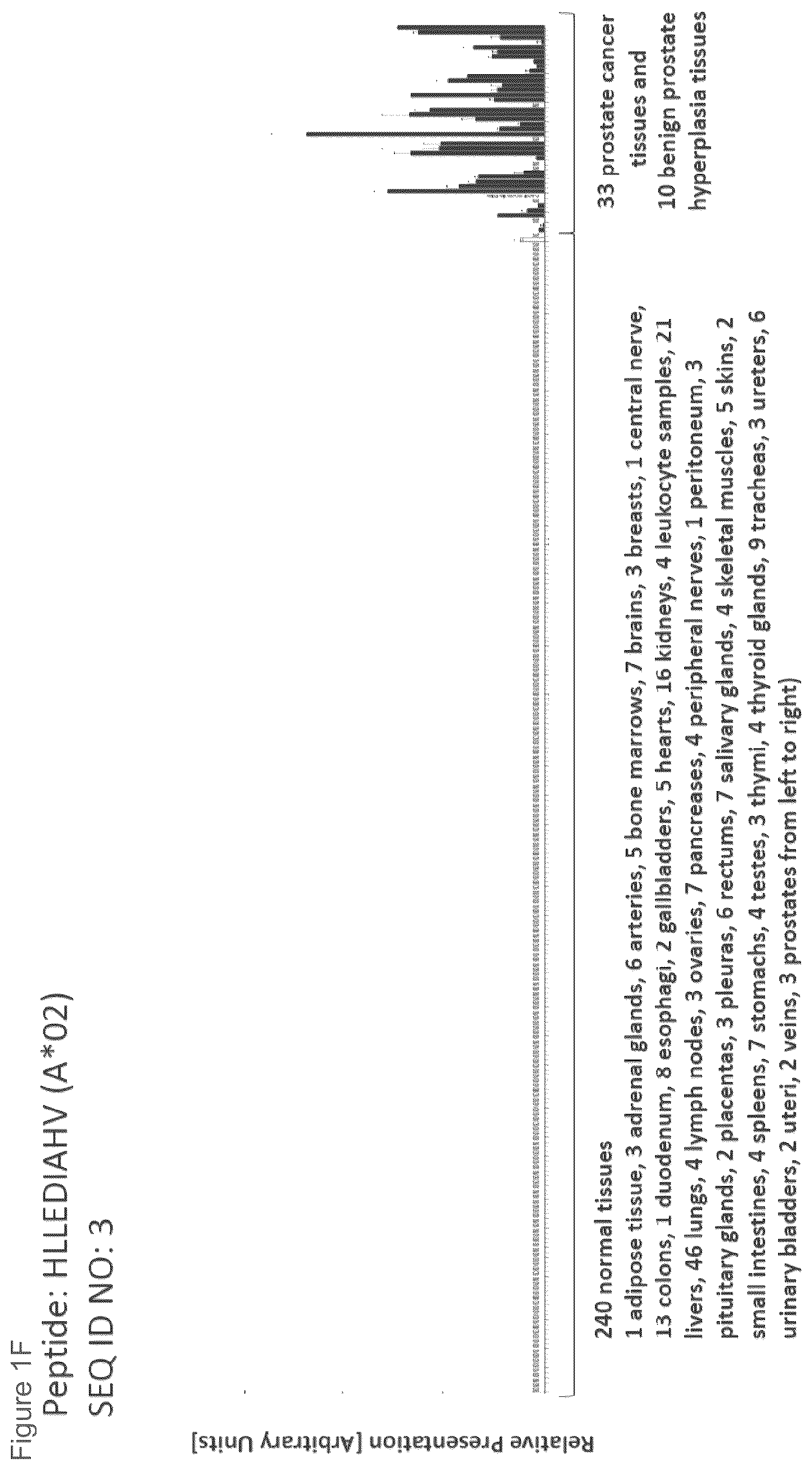 Patent US12102670 Figure 6 – Peptides and combination of peptides for use in immunotherapy against prostate cancer and other cancers
