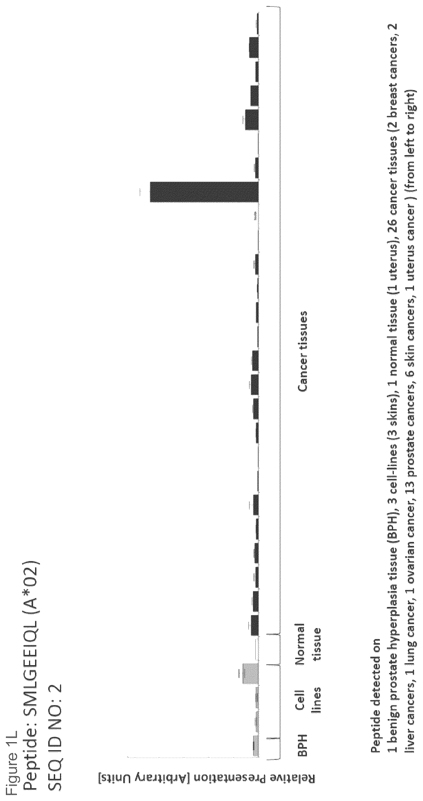 Patent US12102670 Figure 12 – Peptides and combination of peptides for use in immunotherapy against prostate cancer and other cancers