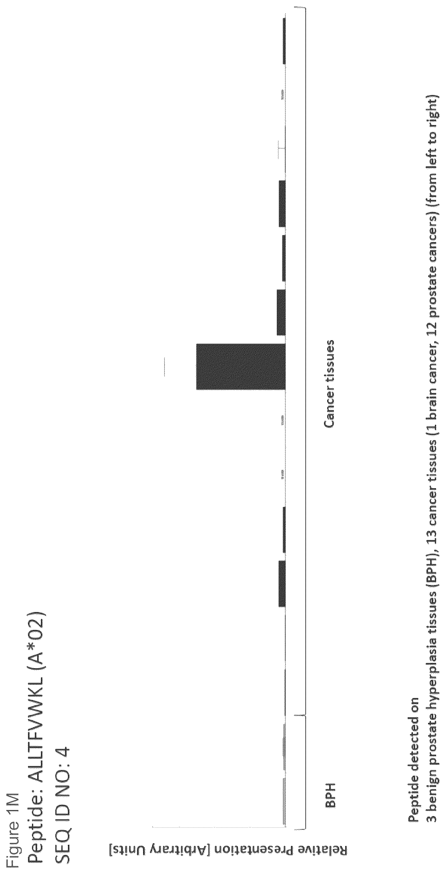 Patent US12102670 Figure 13 – Peptides and combination of peptides for use in immunotherapy against prostate cancer and other cancers