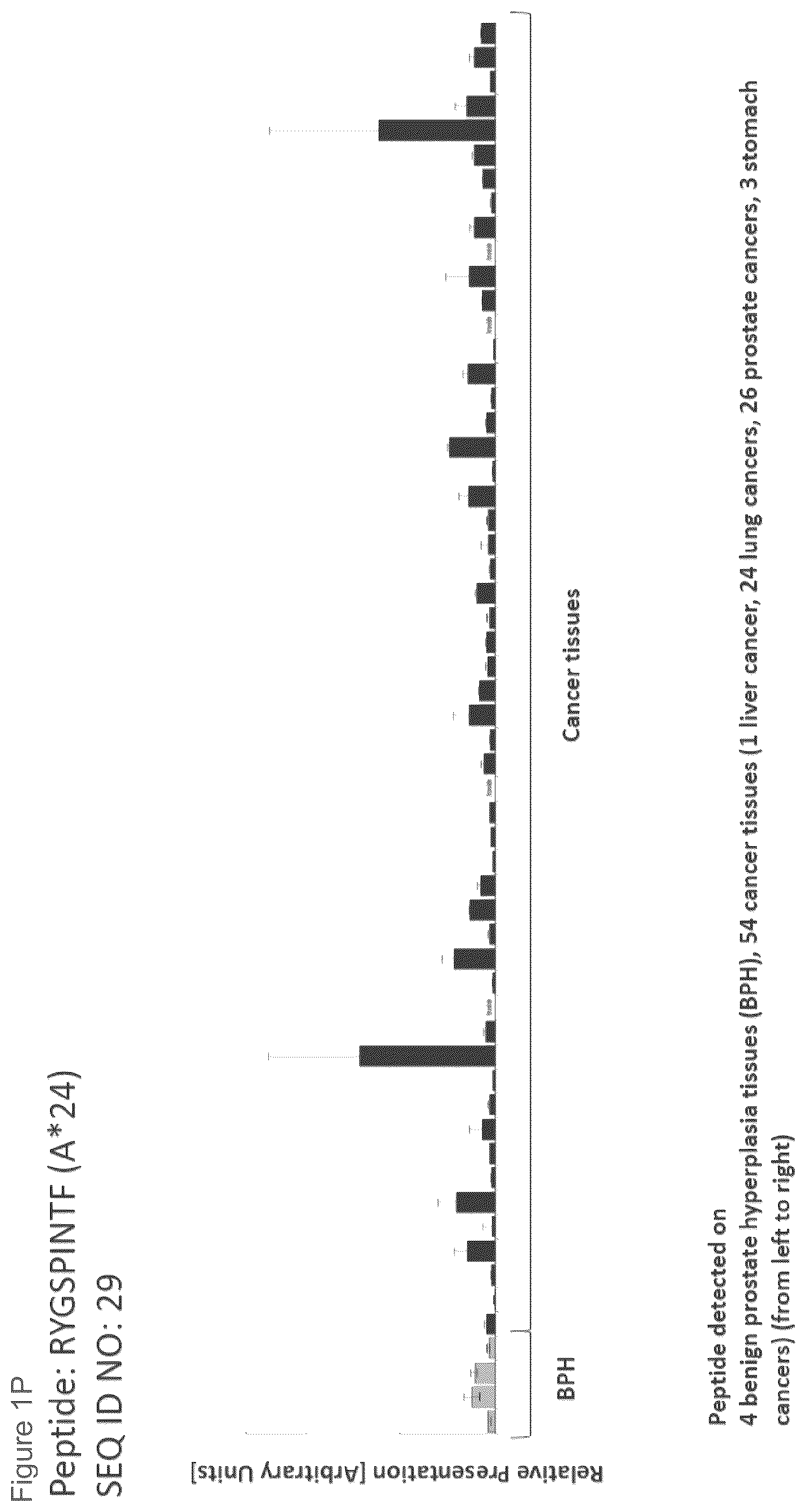 Patent US12102670 Figure 16 – Peptides and combination of peptides for use in immunotherapy against prostate cancer and other cancers