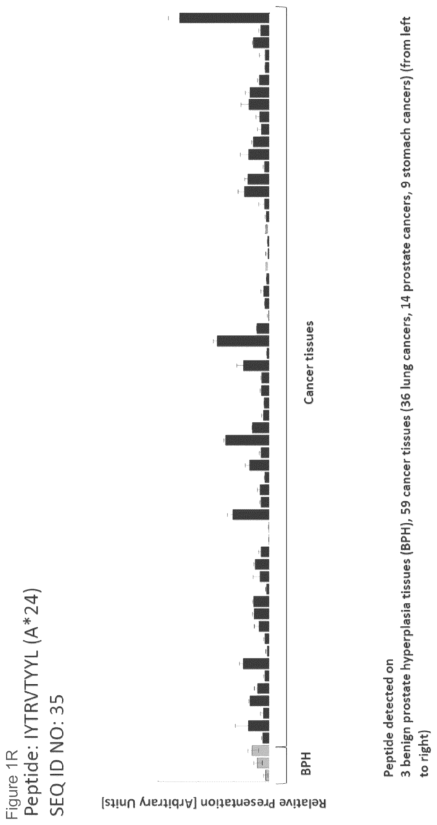 Patent US12102670 Figure 18 – Peptides and combination of peptides for use in immunotherapy against prostate cancer and other cancers