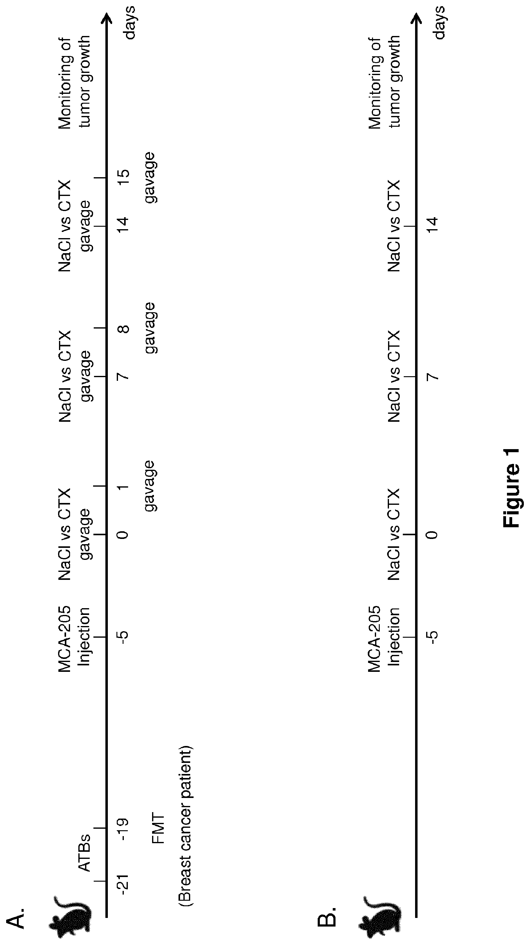 Patent US12102672 Figure 1 – Immunogenic sequences from a phage tail length tape measure protein, bacteria expressing the same and their use in treating a cancer