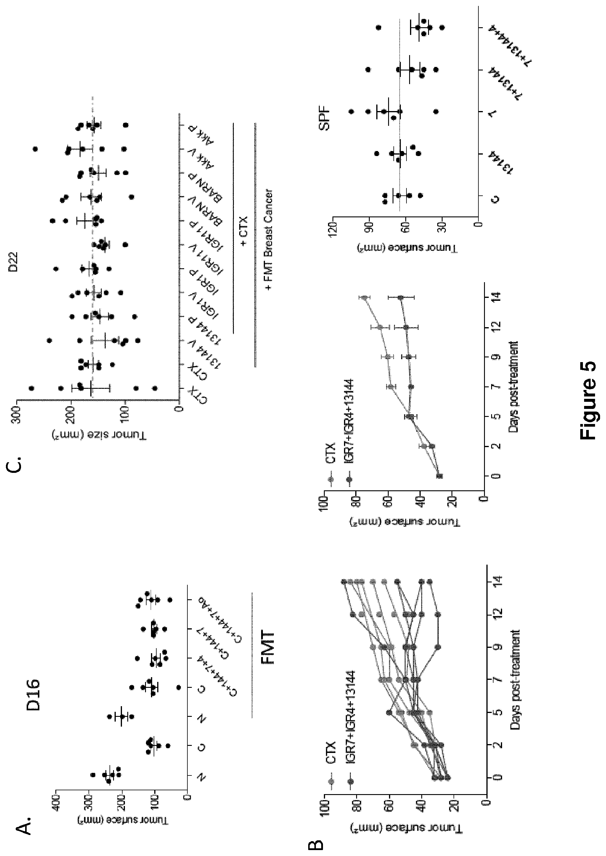 Patent US12102672 Figure 5 – Immunogenic sequences from a phage tail length tape measure protein, bacteria expressing the same and their use in treating a cancer
