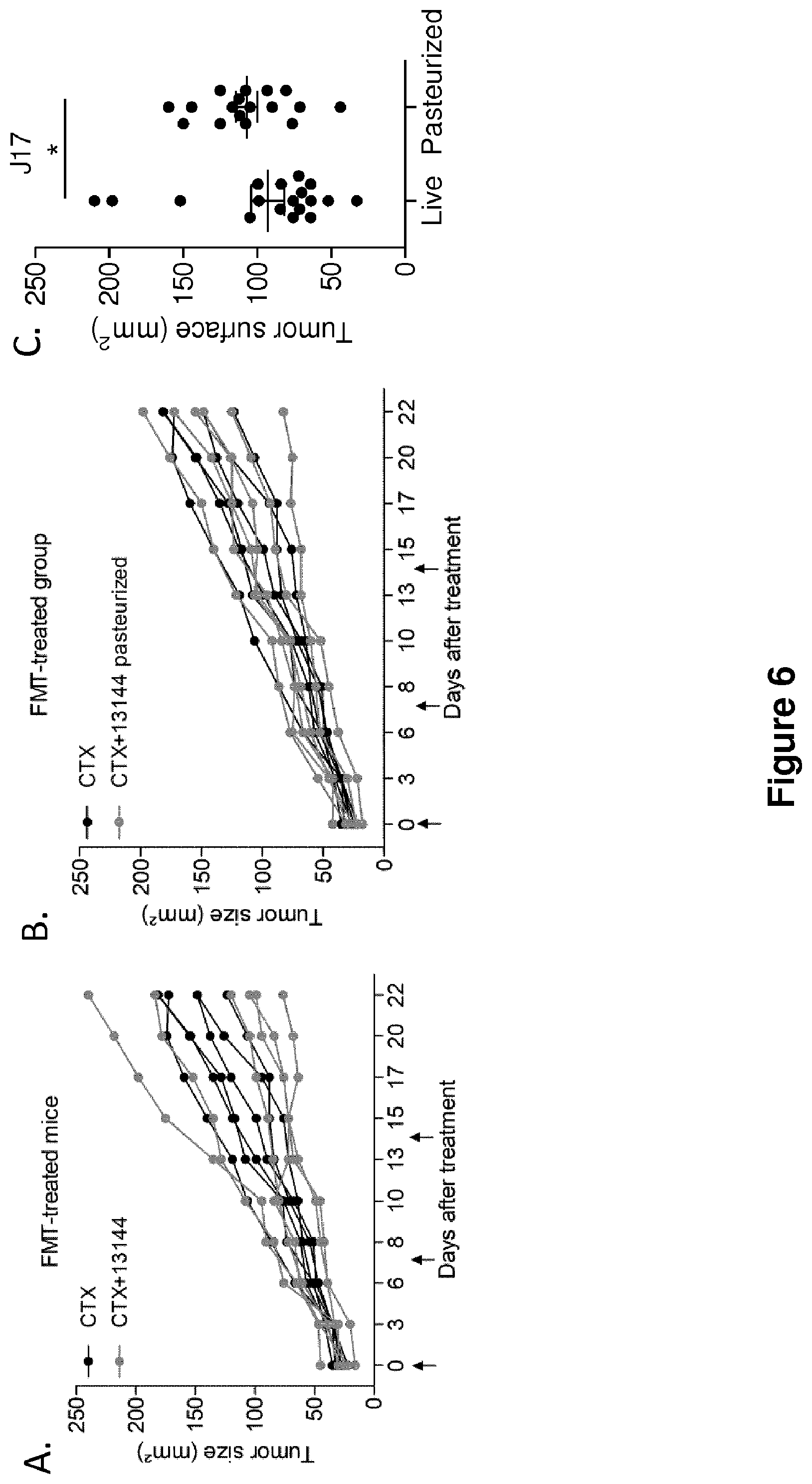 Patent US12102672 Figure 6 – Immunogenic sequences from a phage tail length tape measure protein, bacteria expressing the same and their use in treating a cancer