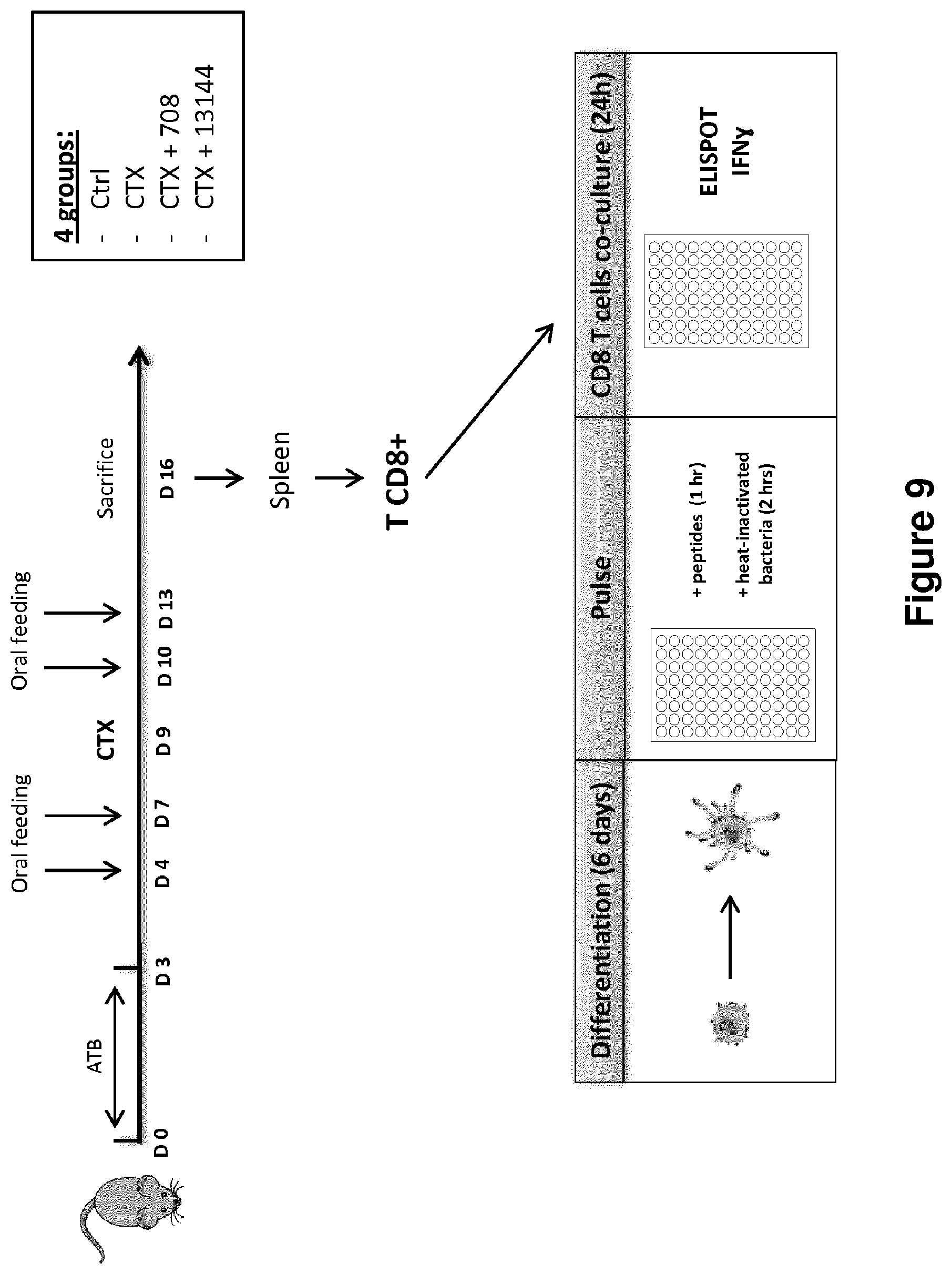 Patent US12102672 Figure 10 – Immunogenic sequences from a phage tail length tape measure protein, bacteria expressing the same and their use in treating a cancer