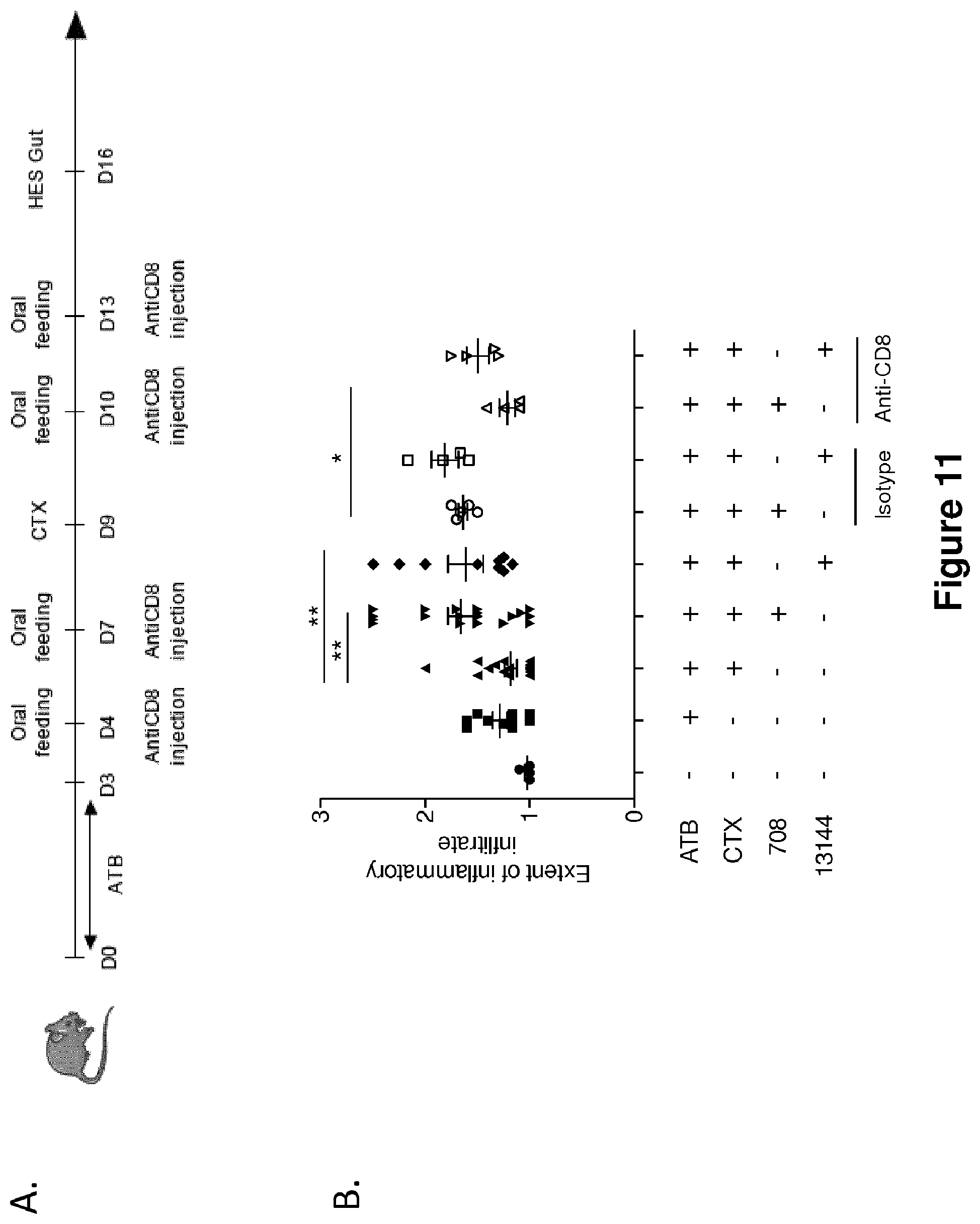 Patent US12102672 Figure 12 – Immunogenic sequences from a phage tail length tape measure protein, bacteria expressing the same and their use in treating a cancer