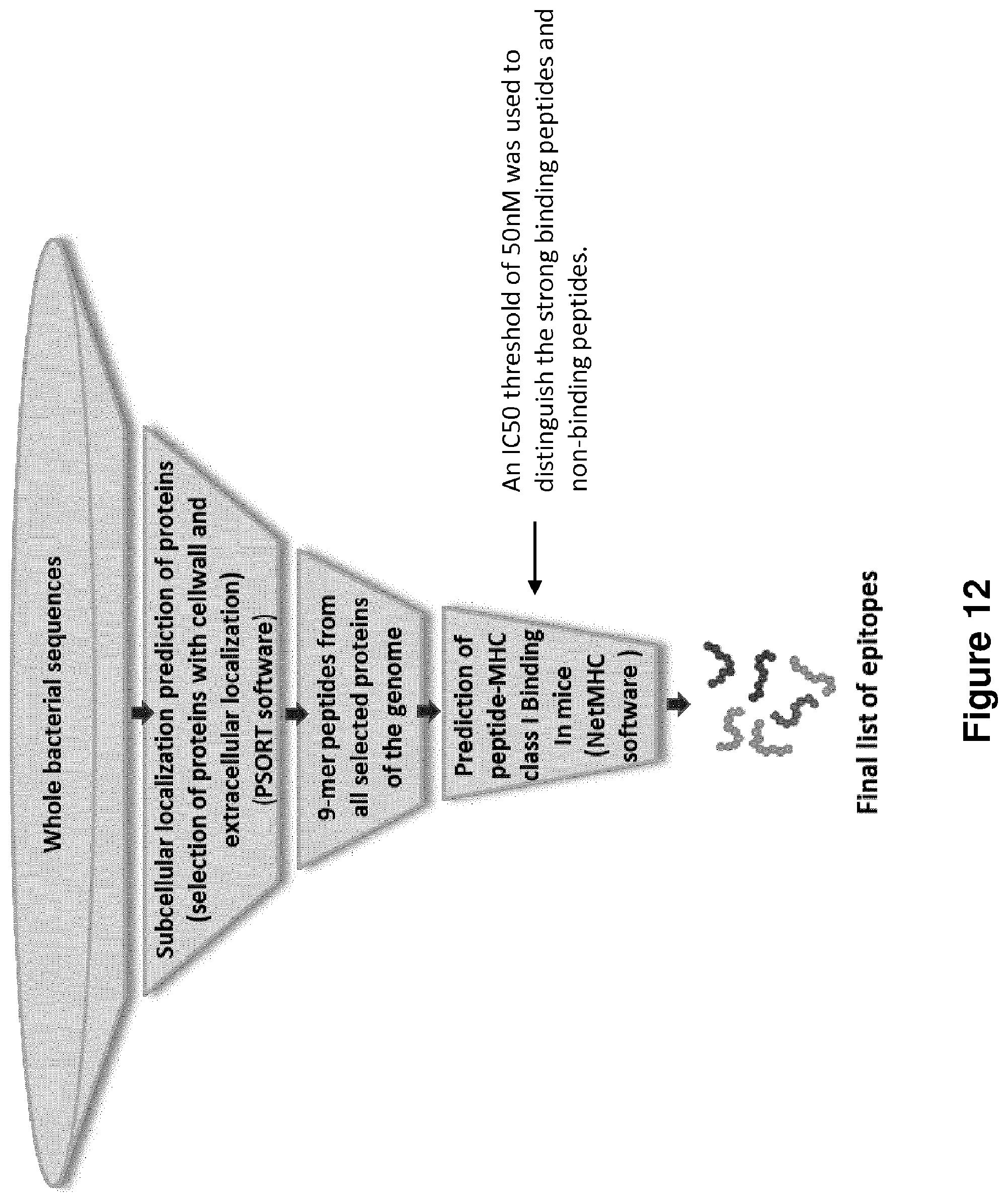 Patent US12102672 Figure 13 – Immunogenic sequences from a phage tail length tape measure protein, bacteria expressing the same and their use in treating a cancer