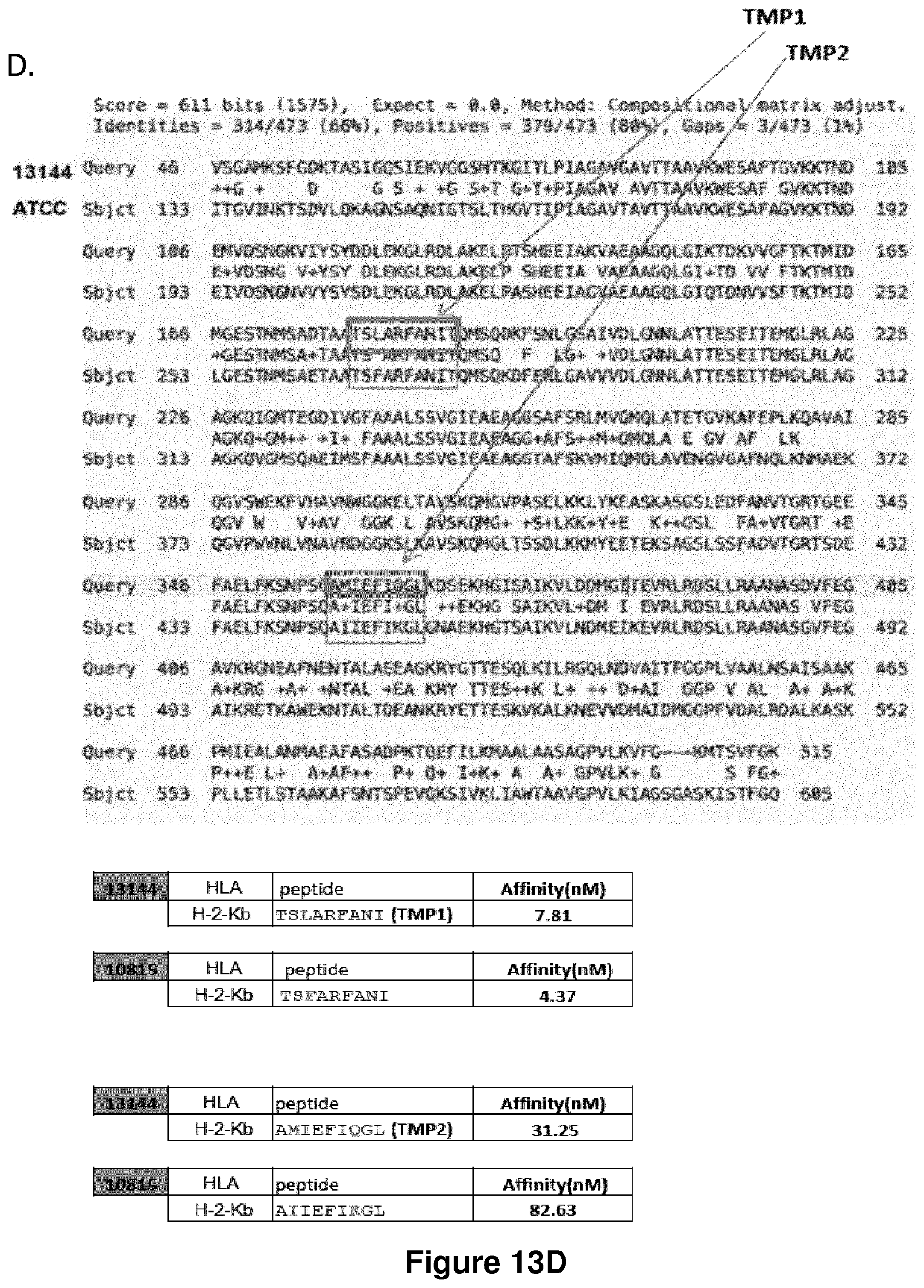 Patent US12102672 Figure 16 – Immunogenic sequences from a phage tail length tape measure protein, bacteria expressing the same and their use in treating a cancer