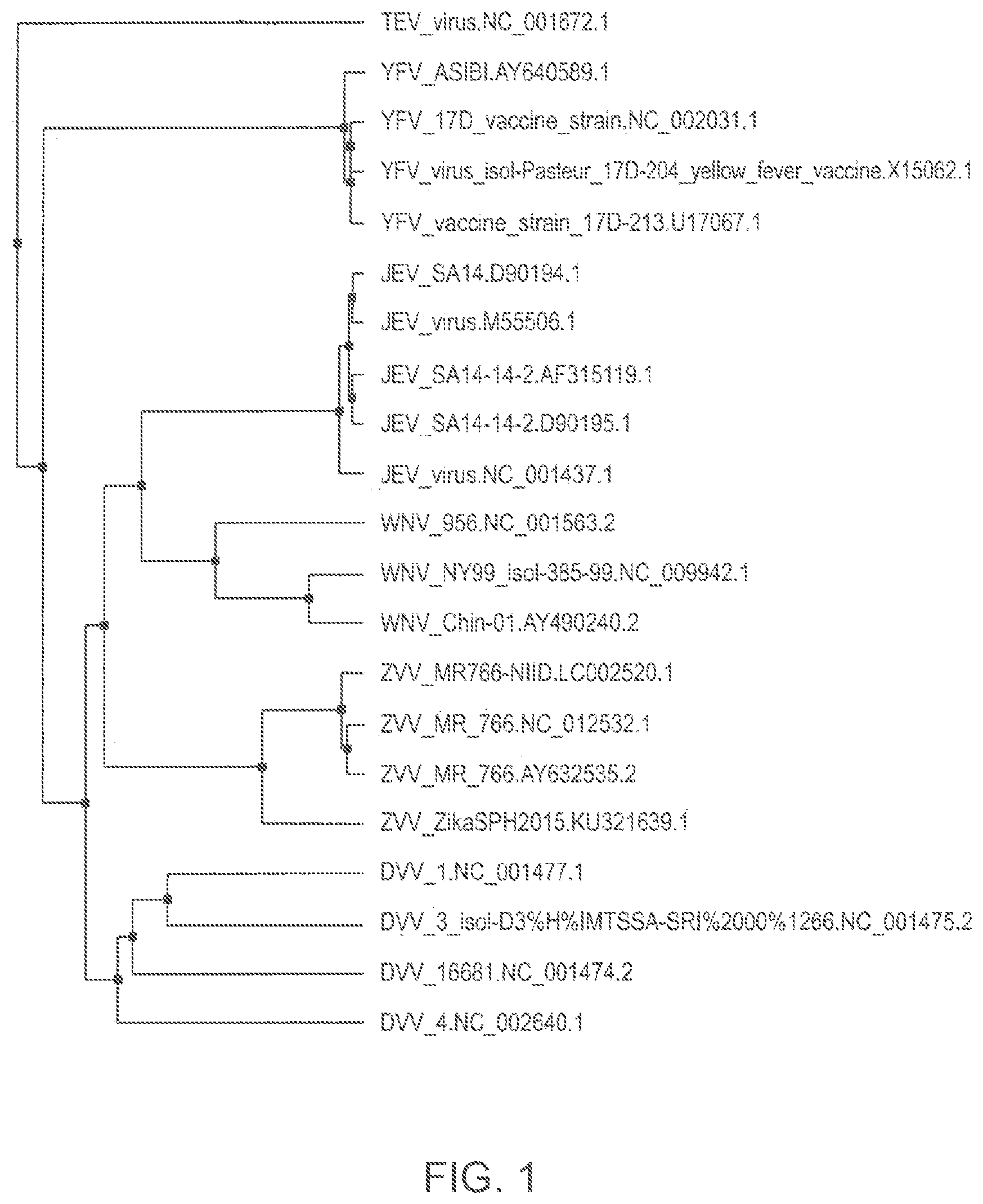 Patent US12102673 Figure 1 – Zika virus vaccine
