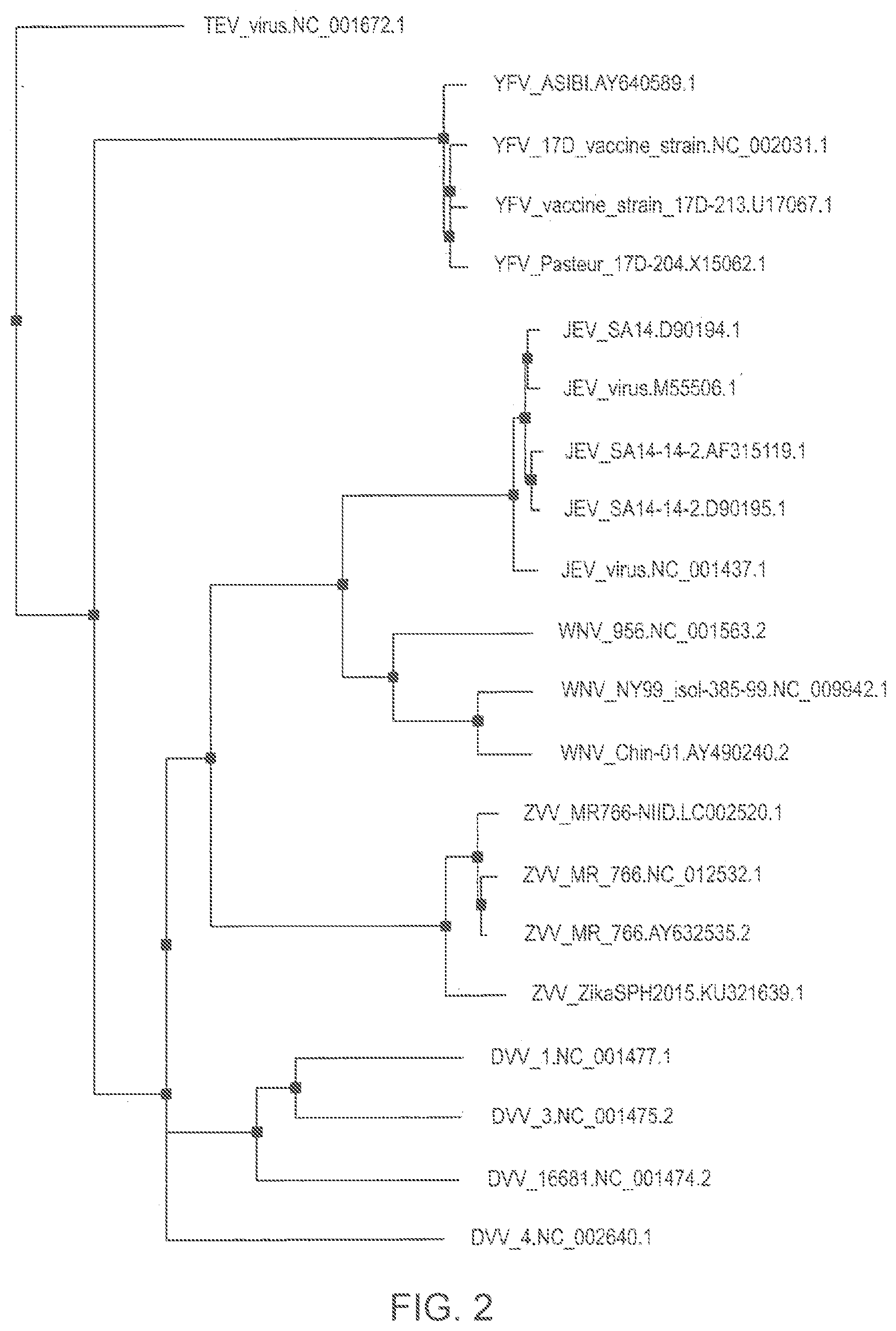 Patent US12102673 Figure 2 – Zika virus vaccine