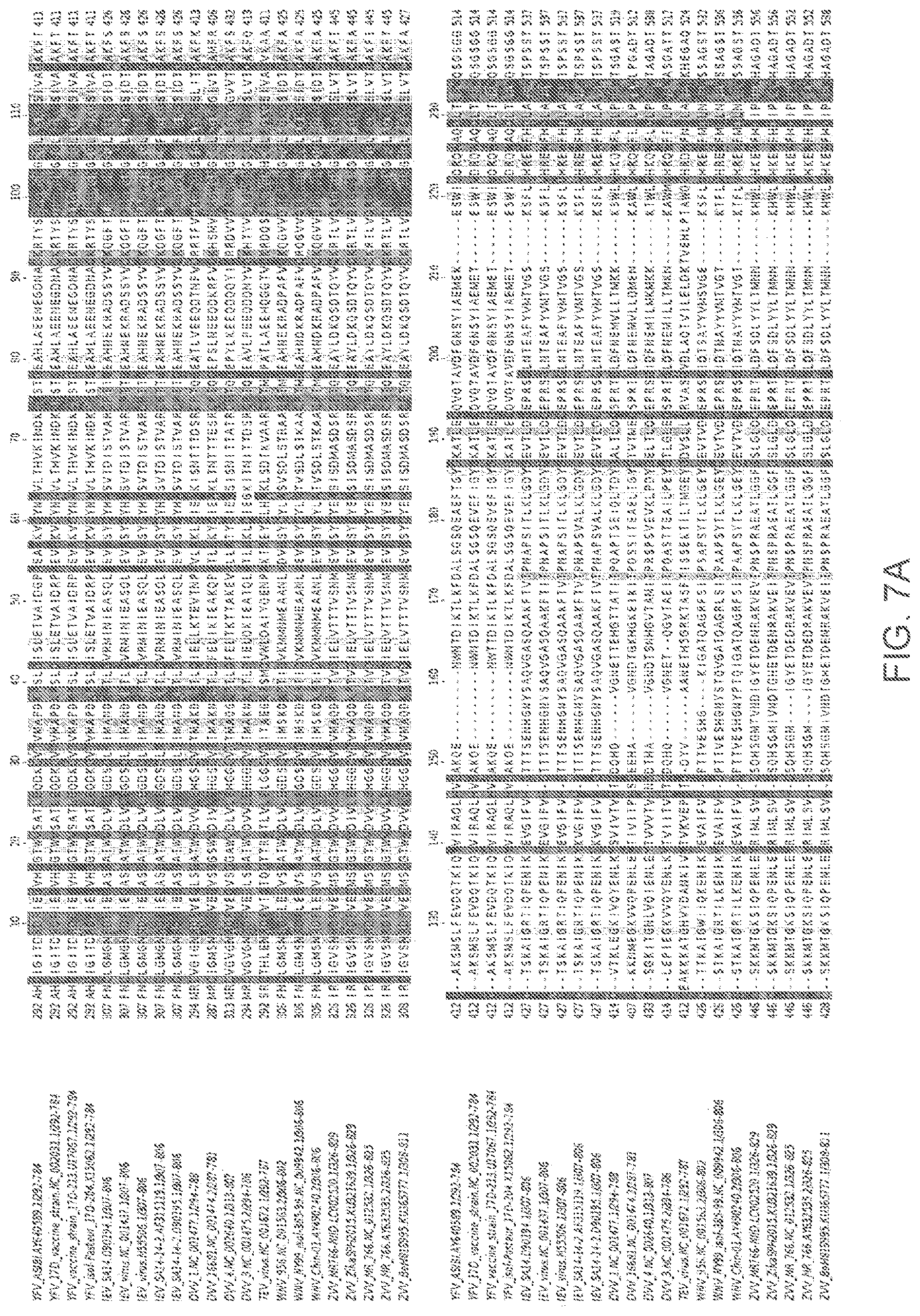 Patent US12102673 Figure 7 – Zika virus vaccine