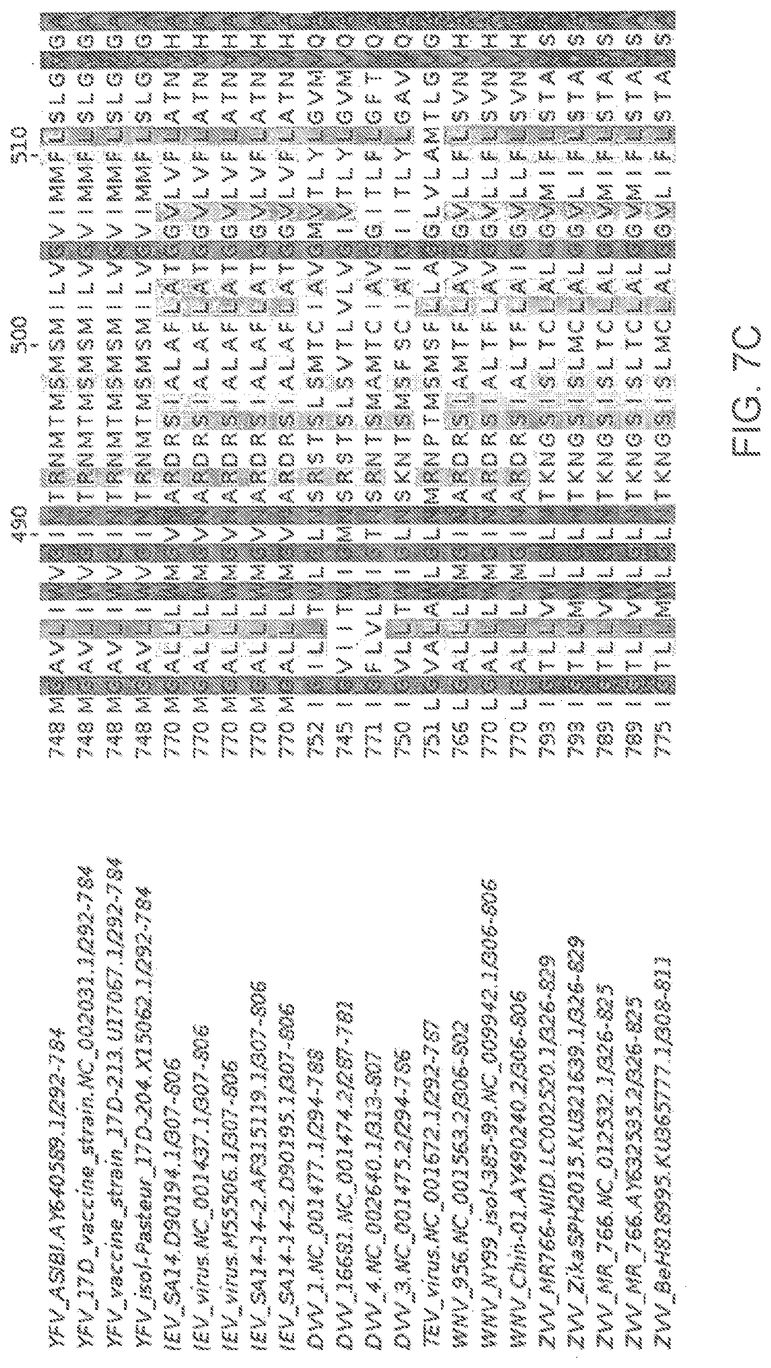 Patent US12102673 Figure 9 – Zika virus vaccine