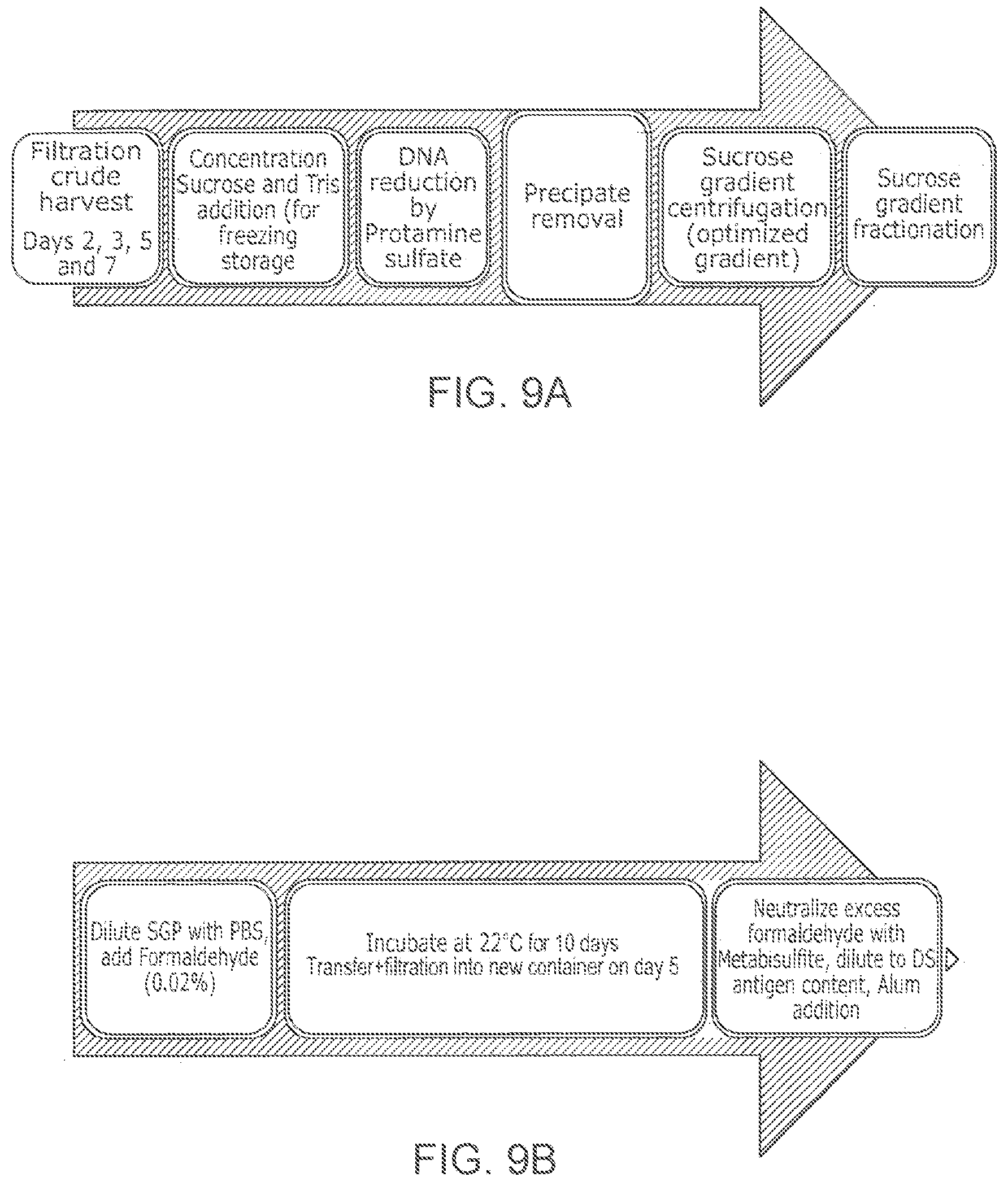 Patent US12102673 Figure 11 – Zika virus vaccine