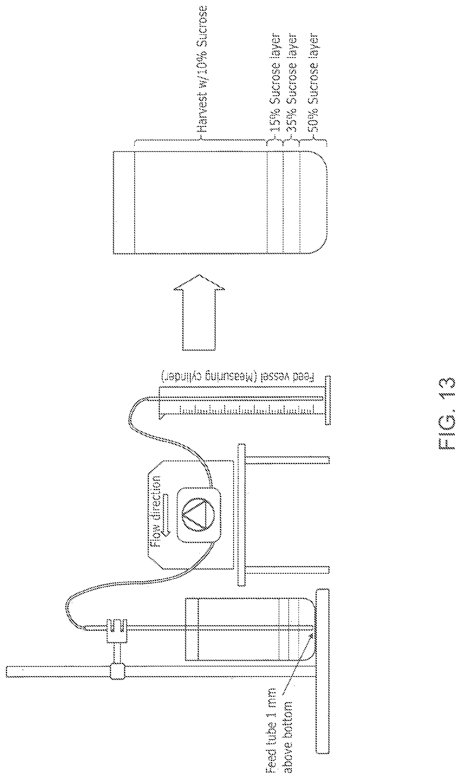 Patent US12102673 Figure 15 – Zika virus vaccine