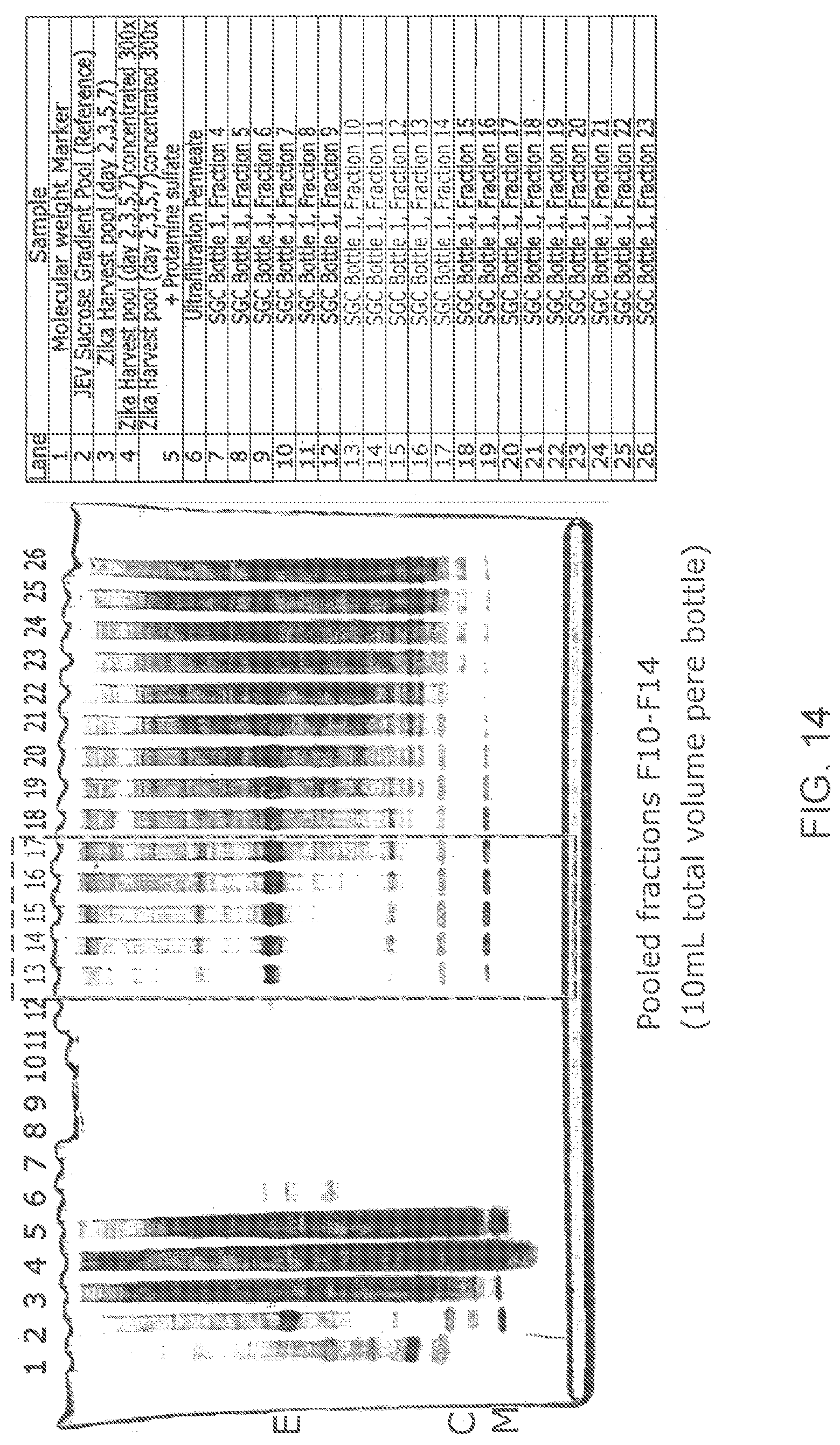 Patent US12102673 Figure 16 – Zika virus vaccine