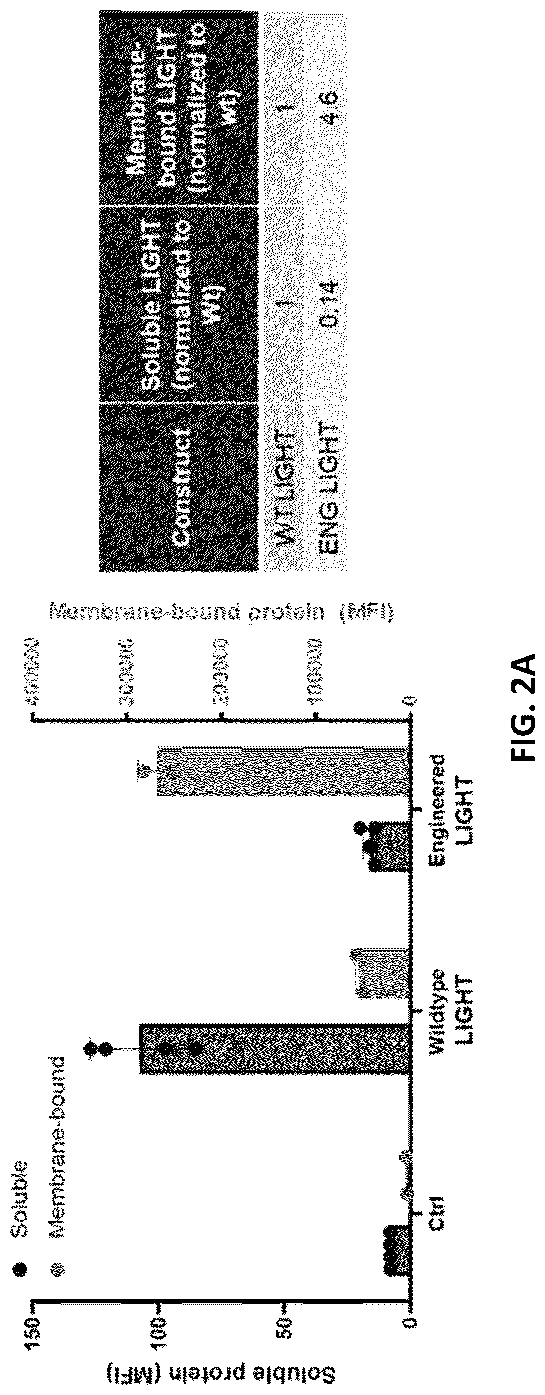 Patent US12102675 Figure 2 – MRNA therapeutic compositions