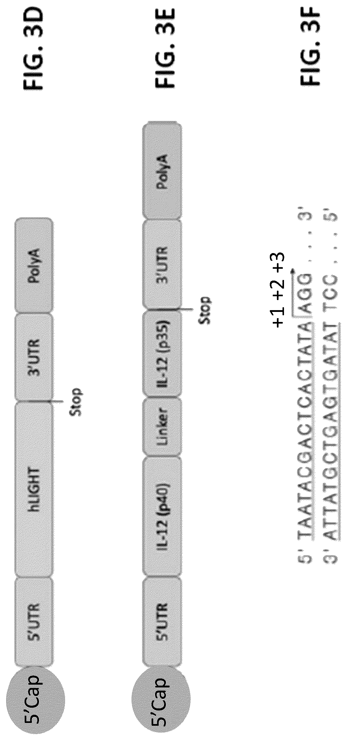 Patent US12102675 Figure 7 – MRNA therapeutic compositions