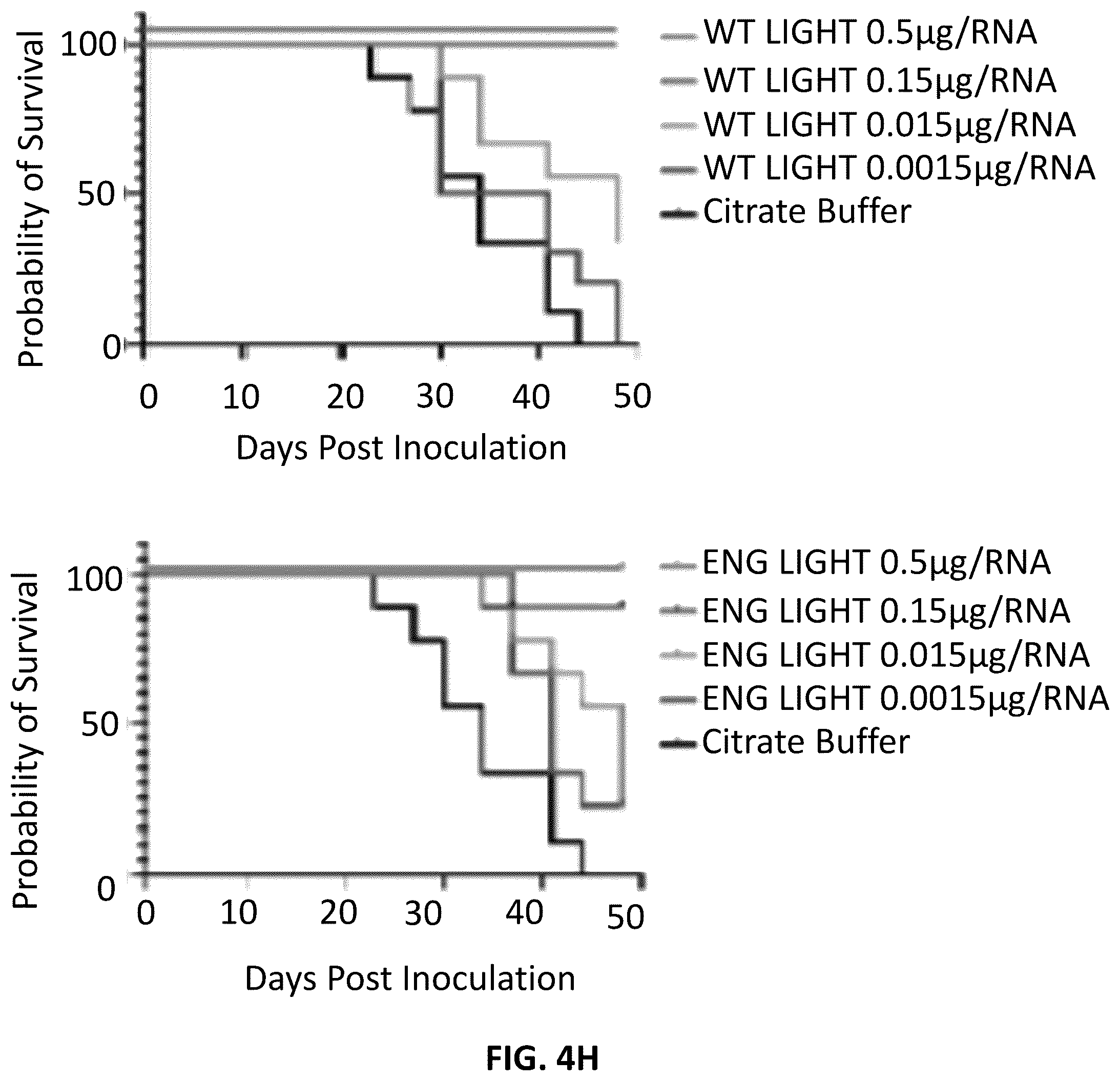 Patent US12102675 Figure 15 – MRNA therapeutic compositions