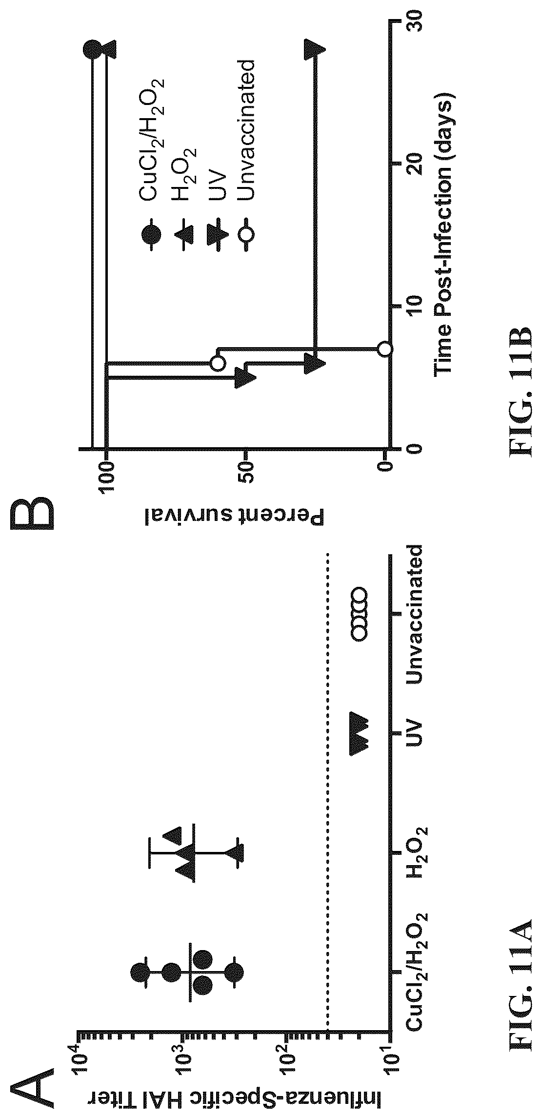 Patent US12102676 Figure 11 – Inactivating pathogens and producing highly immunogenic inactivated vaccines using a dual oxidation process
