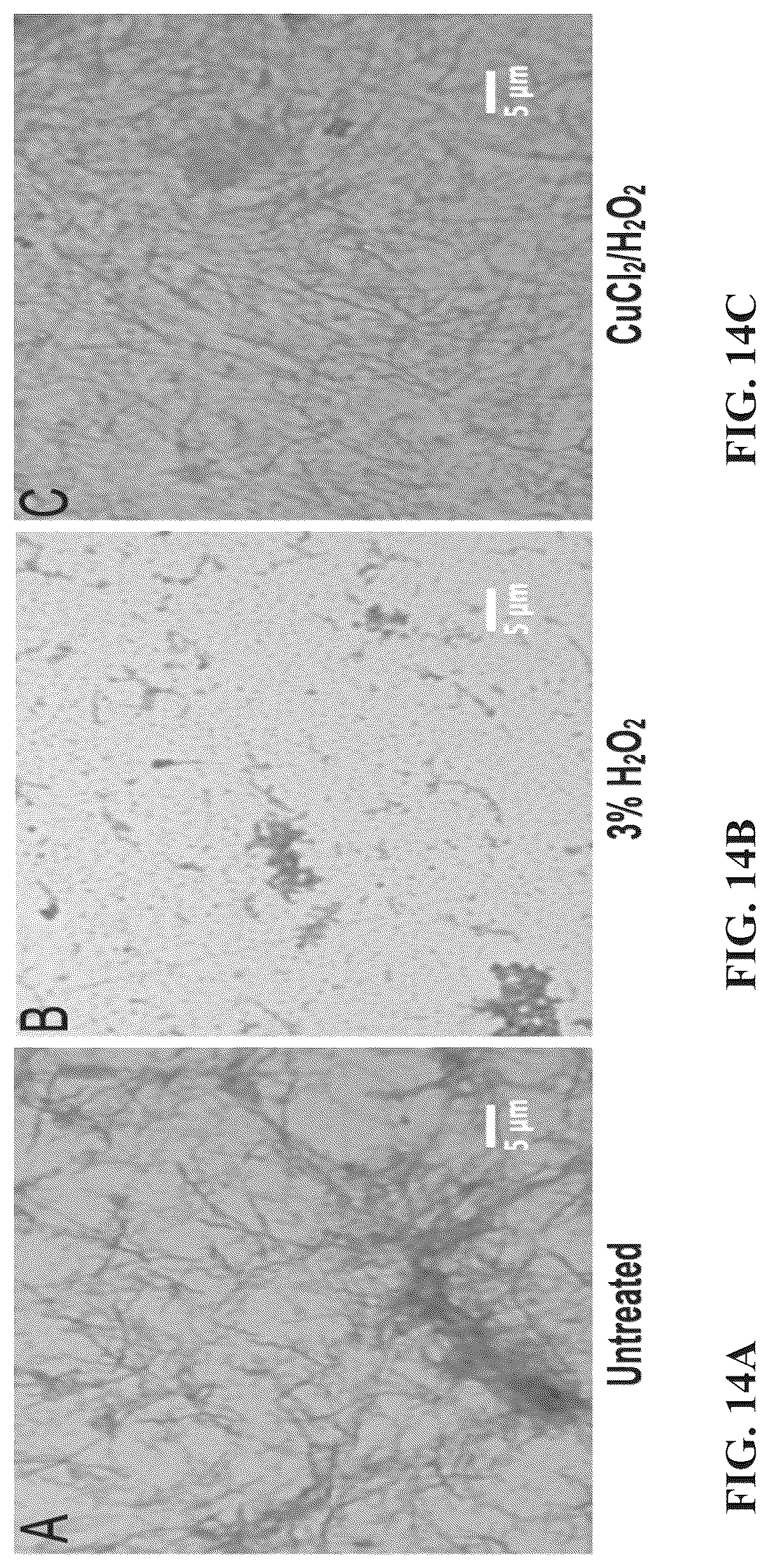 Patent US12102676 Figure 14 – Inactivating pathogens and producing highly immunogenic inactivated vaccines using a dual oxidation process