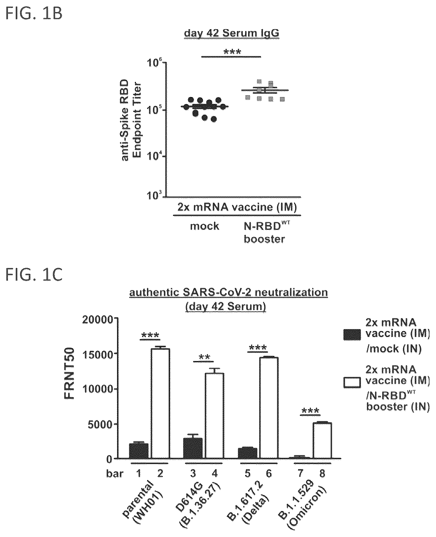 Patent US12102678 Figure 2 – Vaccine booster compositions for respiratory viral diseases