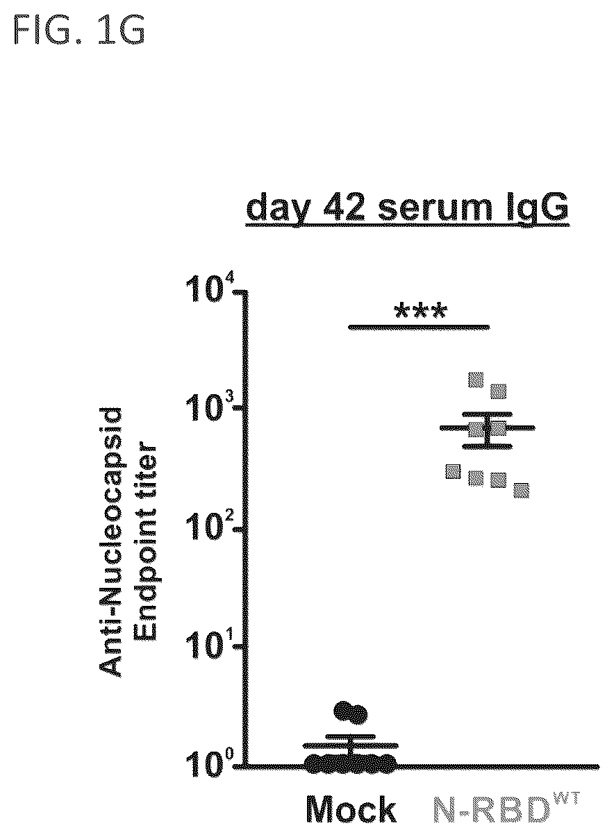 Patent US12102678 Figure 4 – Vaccine booster compositions for respiratory viral diseases