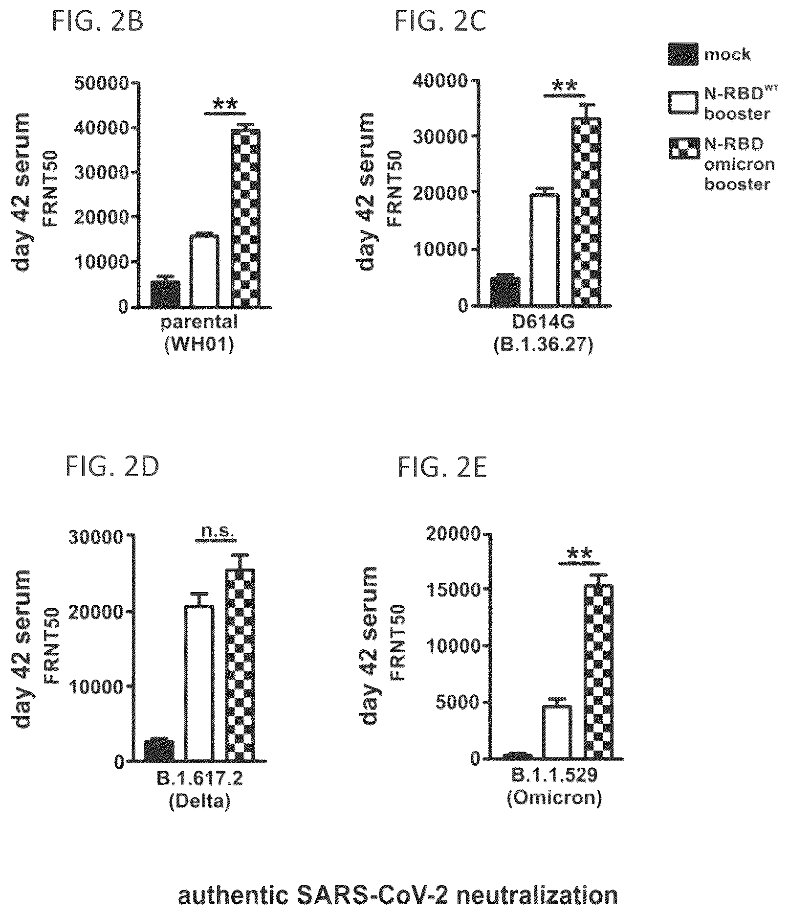 Patent US12102678 Figure 6 – Vaccine booster compositions for respiratory viral diseases