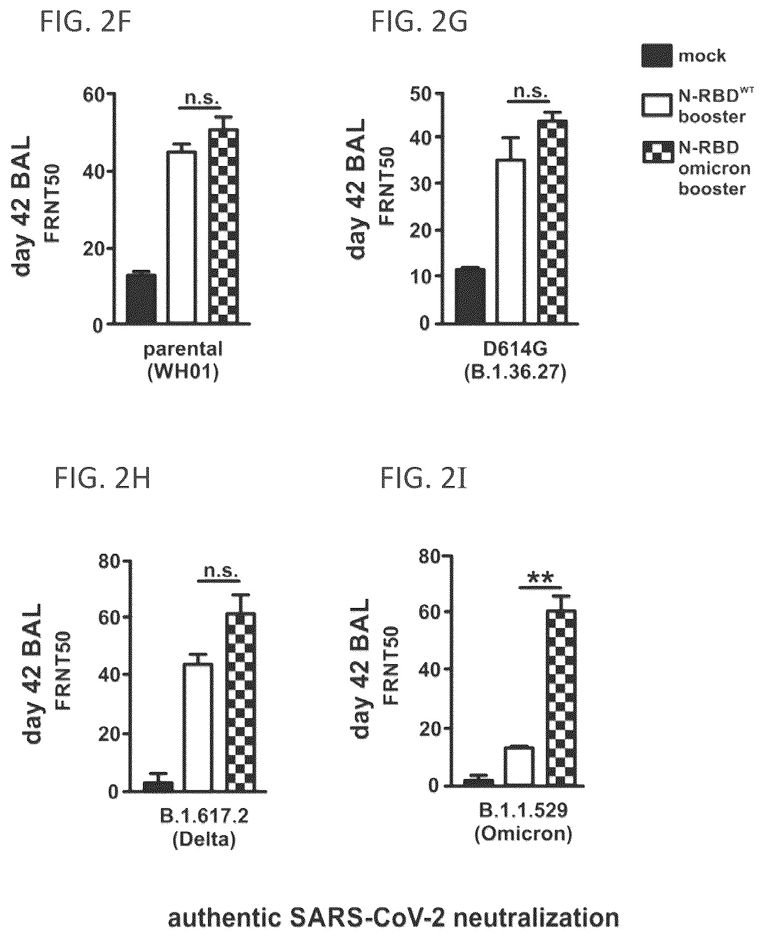 Patent US12102678 Figure 7 – Vaccine booster compositions for respiratory viral diseases