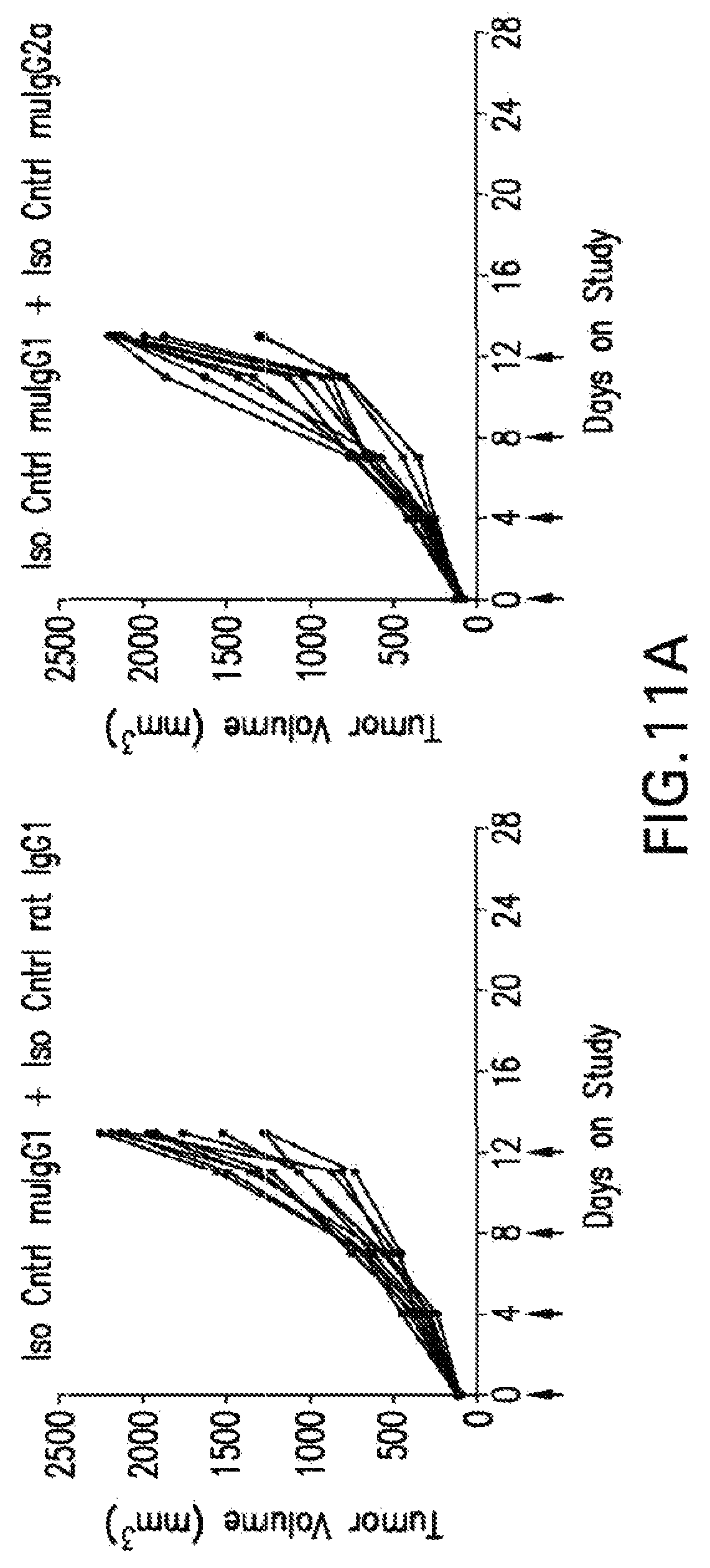 Patent US12102680 Figure 12 – Anti-TIGIT antibodies
