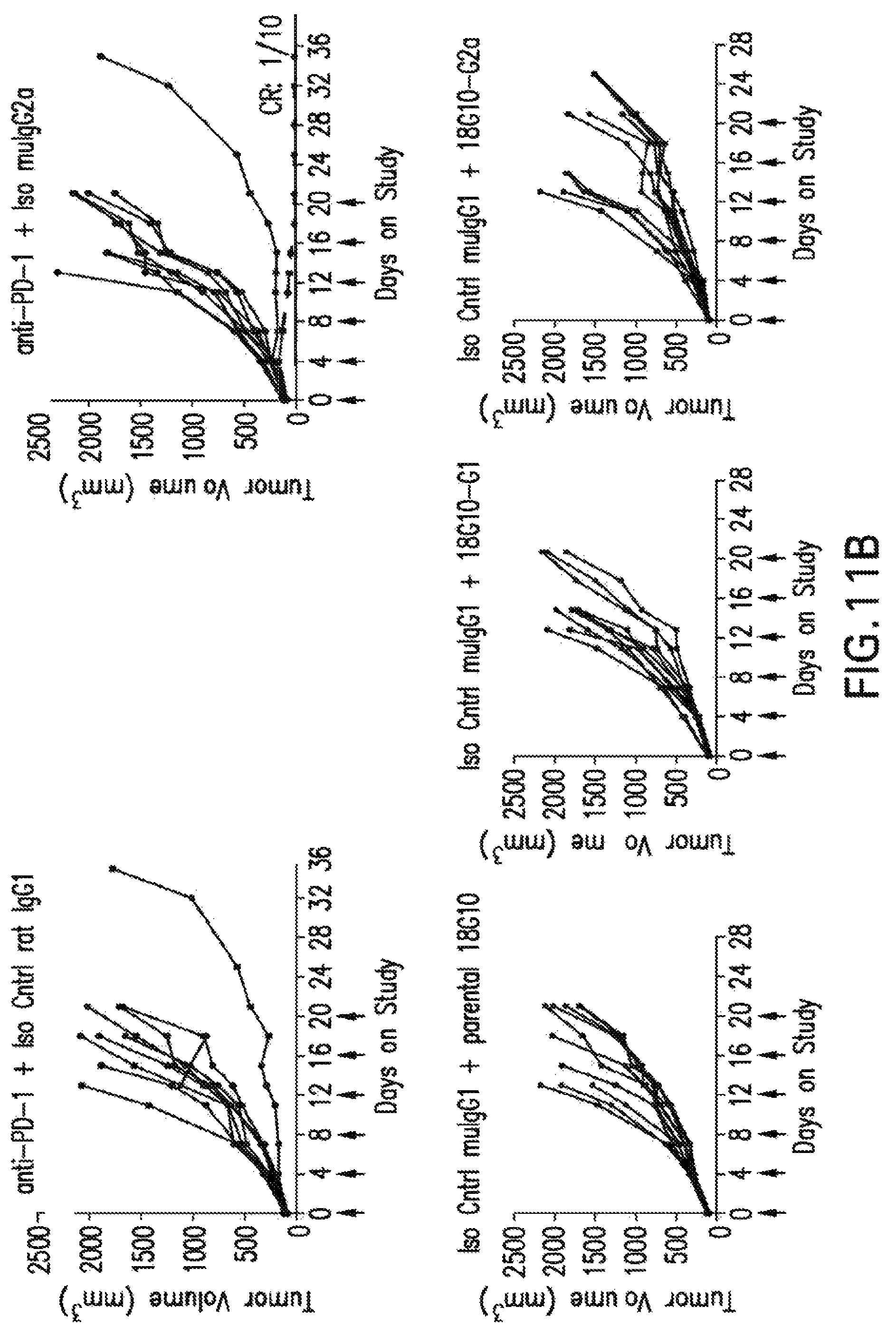 Patent US12102680 Figure 13 – Anti-TIGIT antibodies