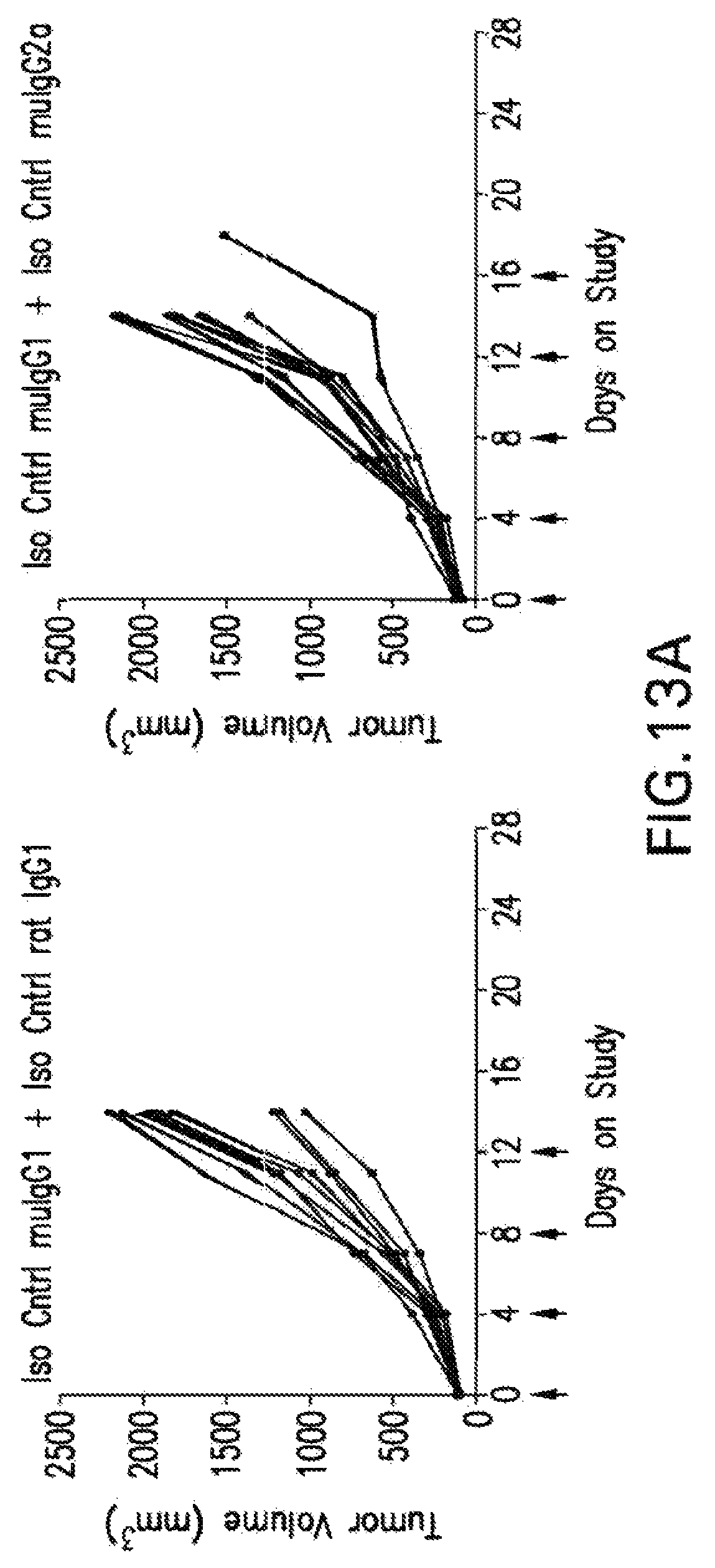 Patent US12102680 Figure 16 – Anti-TIGIT antibodies