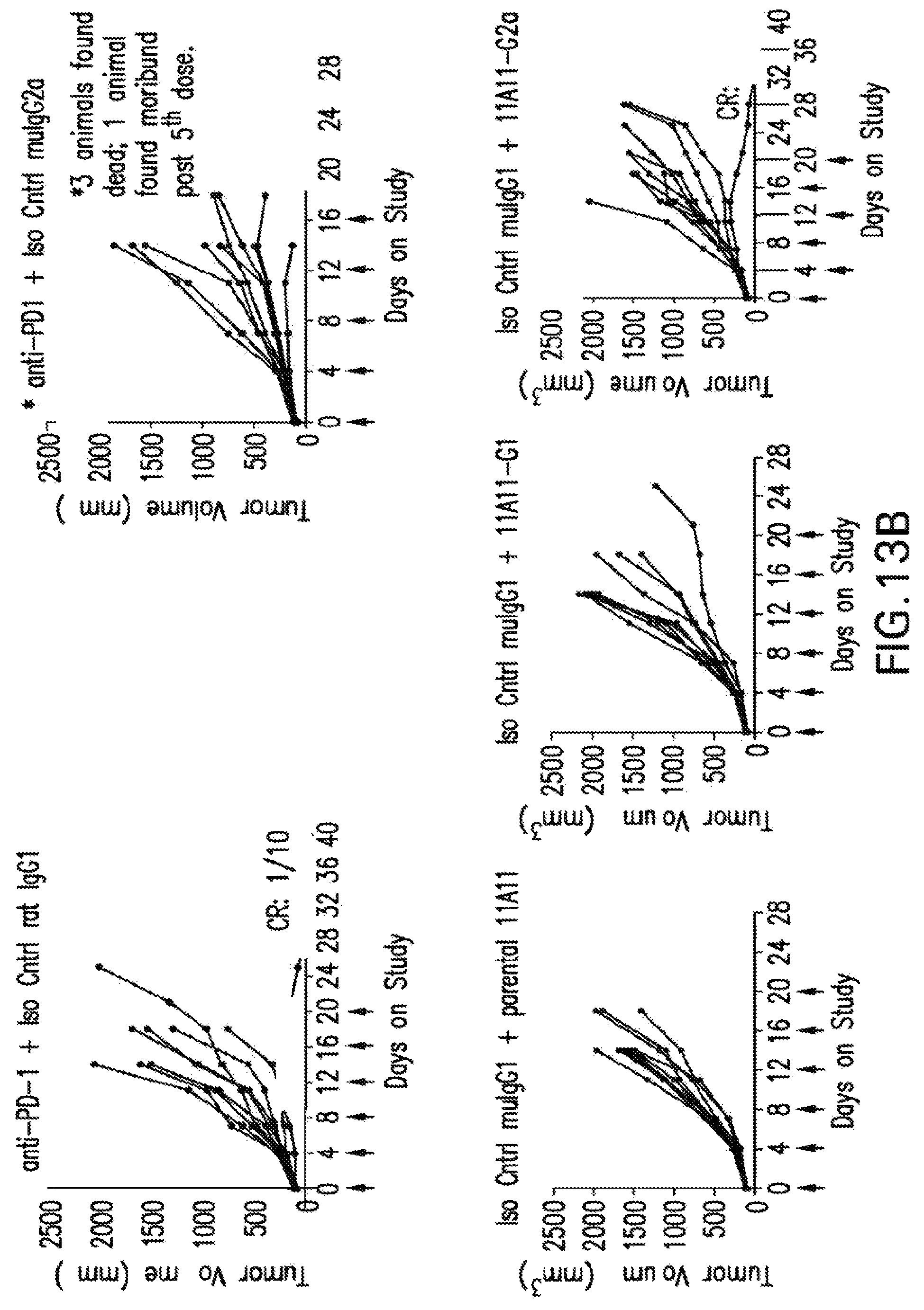 Patent US12102680 Figure 17 – Anti-TIGIT antibodies