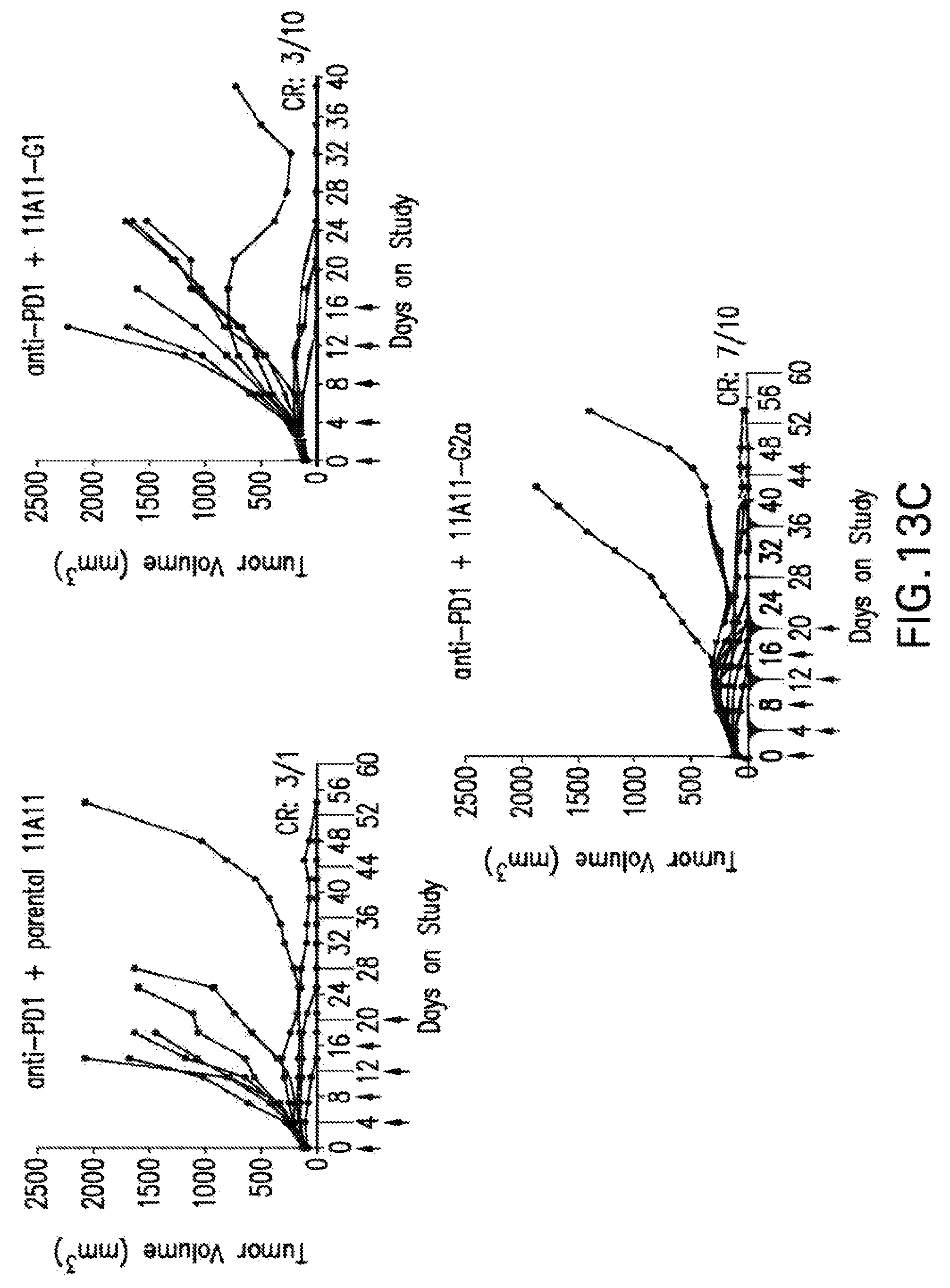 Patent US12102680 Figure 18 – Anti-TIGIT antibodies