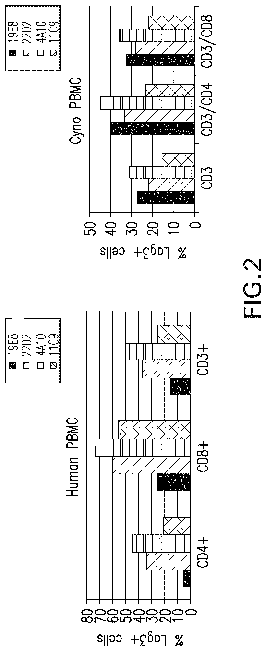 Patent US12102681 Figure 2 – Anti-LAG3 antibodies and antigen-binding fragments