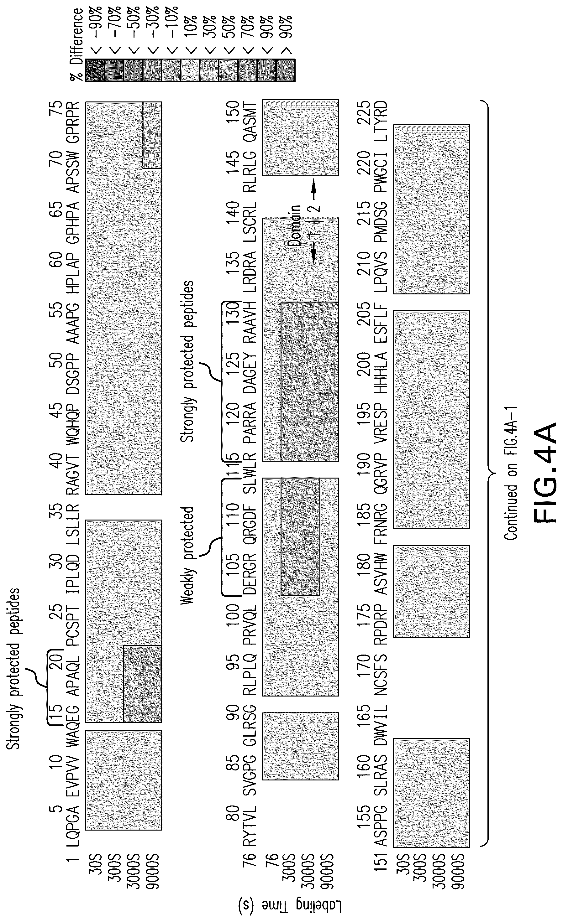 Patent US12102681 Figure 4 – Anti-LAG3 antibodies and antigen-binding fragments