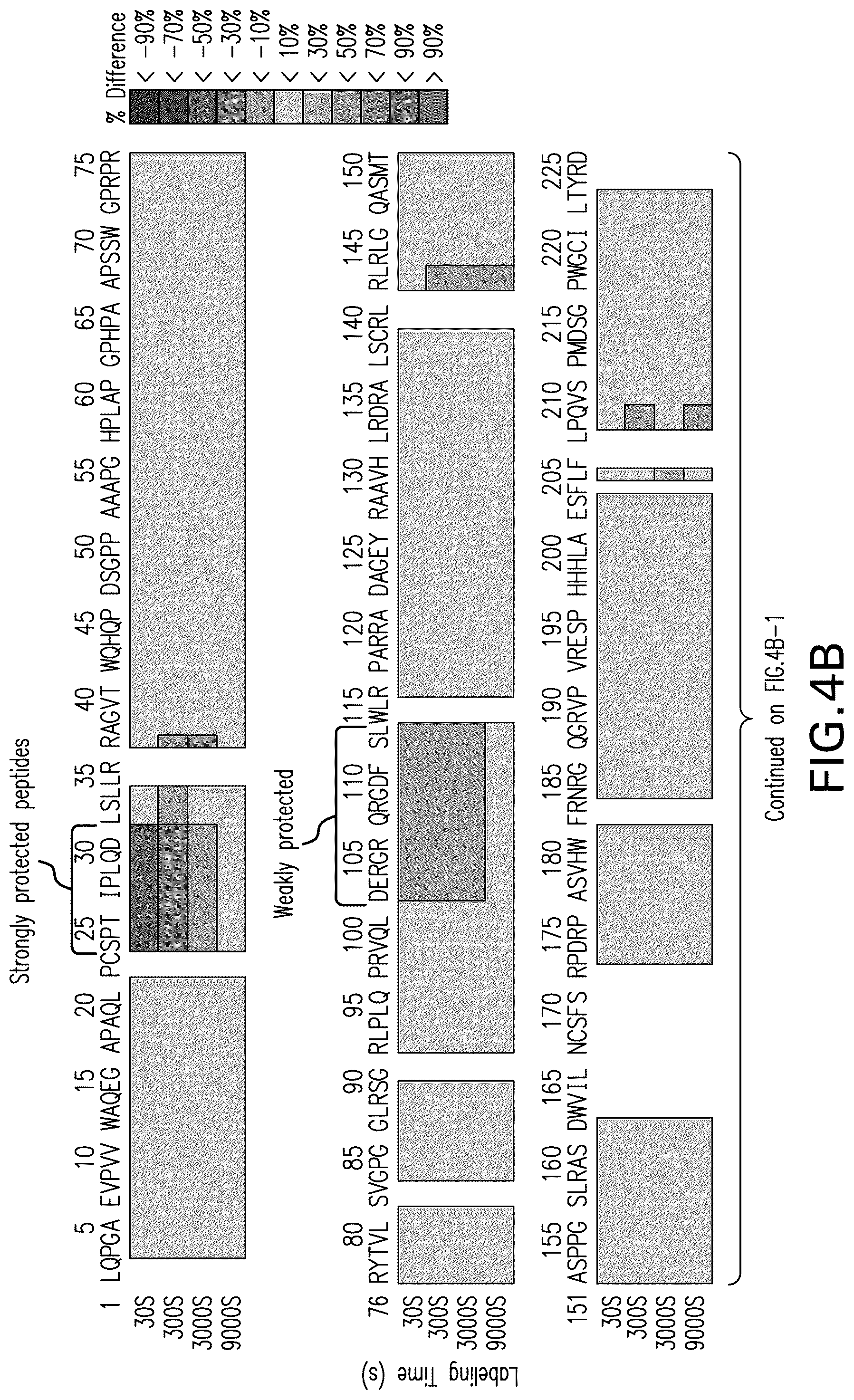 Patent US12102681 Figure 6 – Anti-LAG3 antibodies and antigen-binding fragments