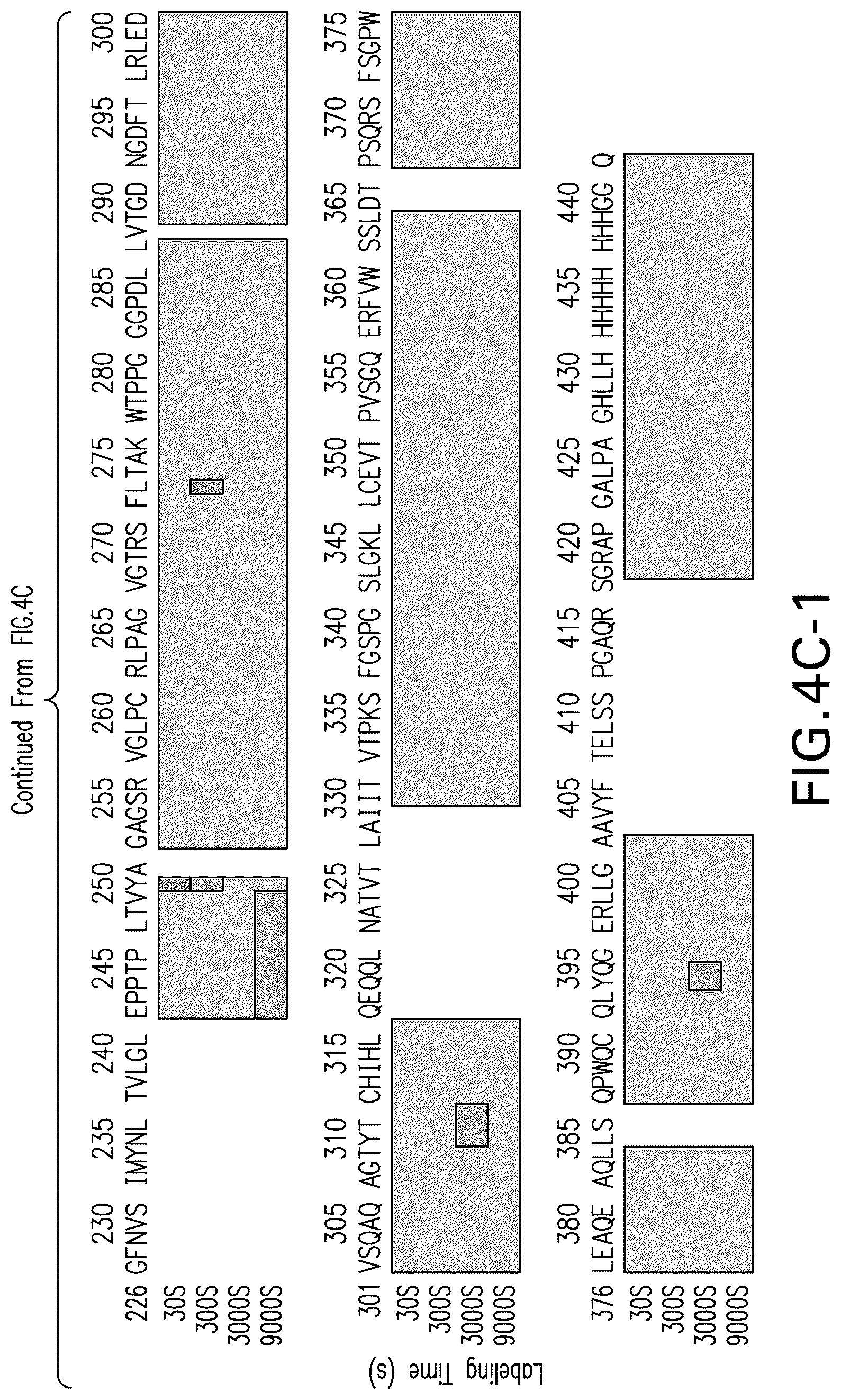 Patent US12102681 Figure 9 – Anti-LAG3 antibodies and antigen-binding fragments